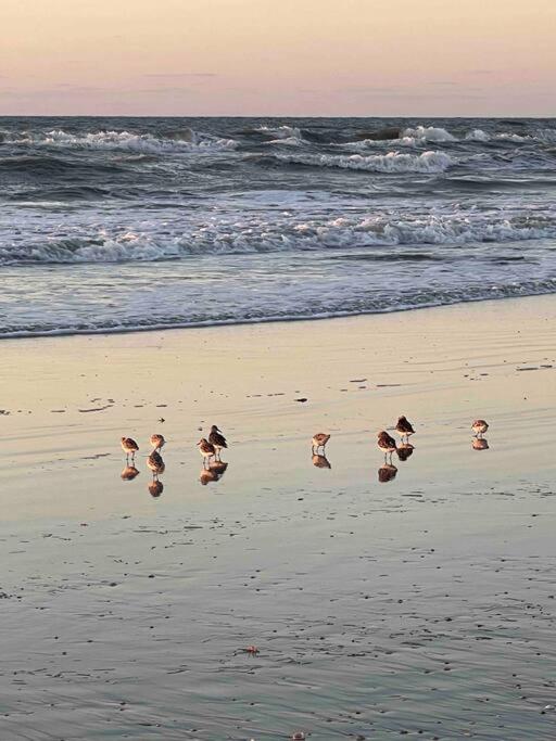Walk to the beach Townhouse at Cape Canaveral