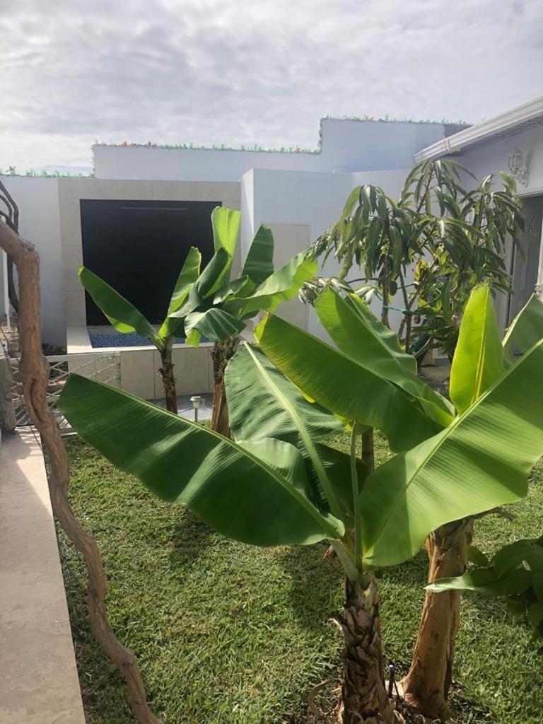 Casa Bella Suit, photo 14