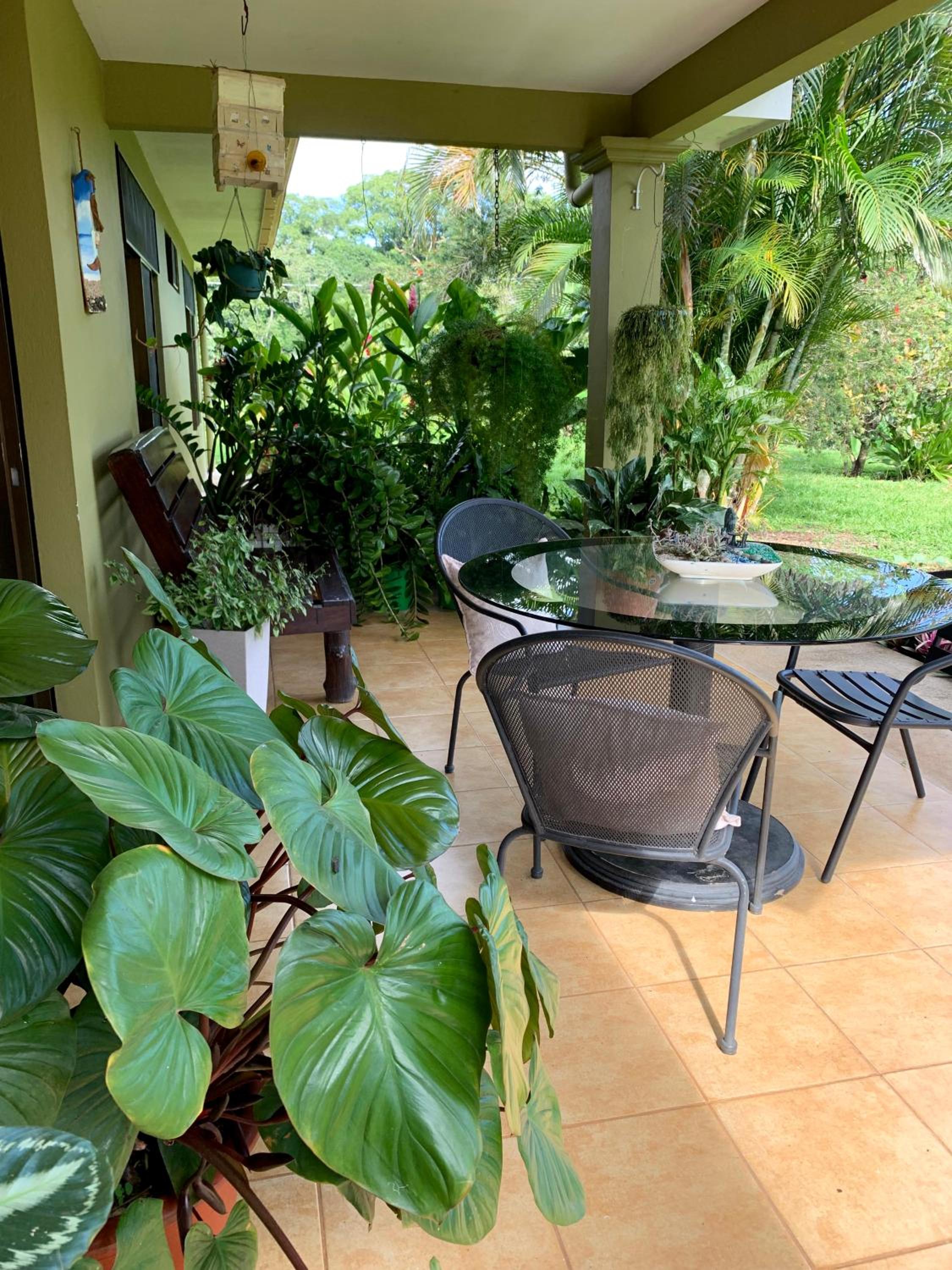 Caladium House