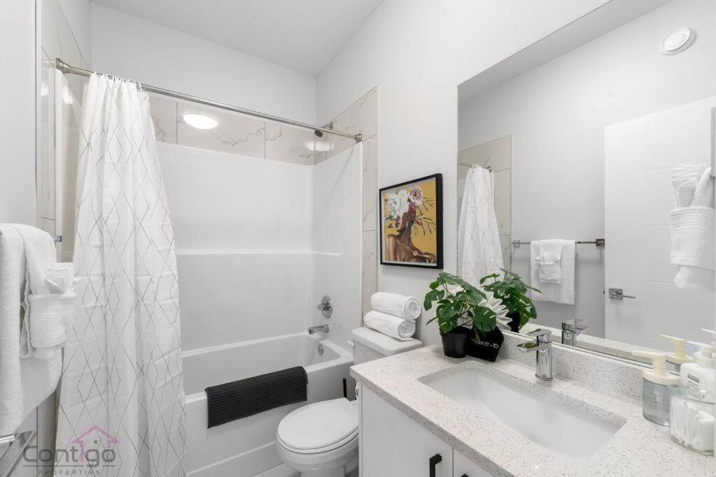 Urban Jungle Getaway, AirCon, 10min to DT & WEM!