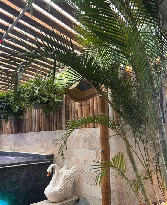 CENTRICO 2Hab con Terraza y Picuzzi totalmente Privados