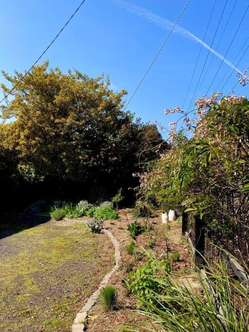 Sunny Ventnor Cottage with Retro Vibe 400m to Beach