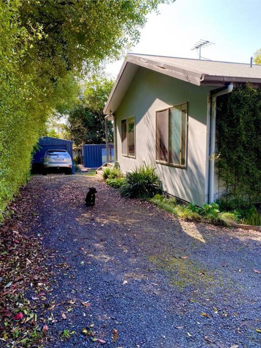 Sunny Ventnor Cottage with Retro Vibe 400m to Beach