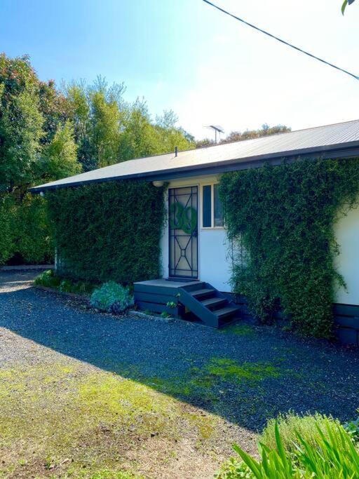 Sunny Ventnor Cottage with Retro Vibe 400m to Beach