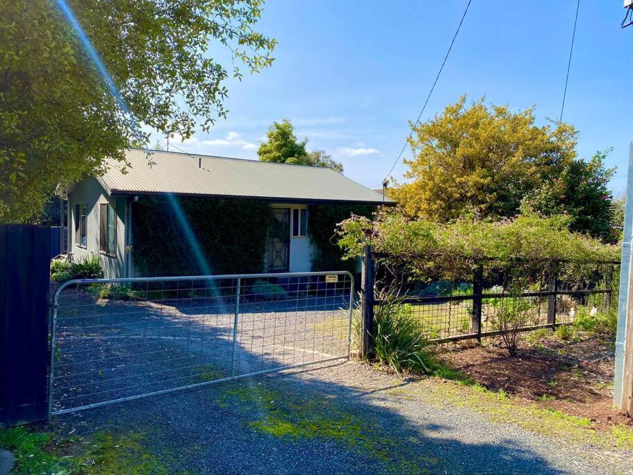 Sunny Ventnor Cottage with Retro Vibe 400m to Beach
