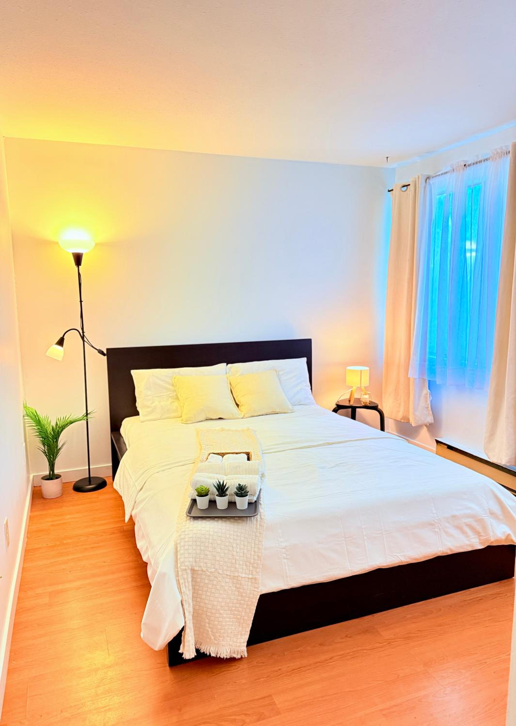 Private Room In The Heart Of The City