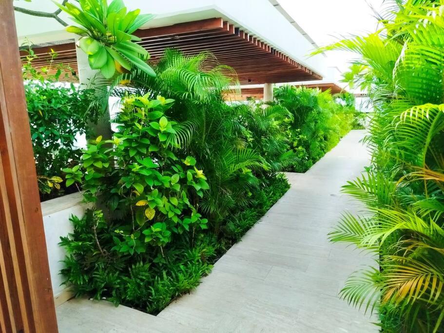 Cartagena Martinique - Hermoso apartamento con Jacuzzi en el Balcón!