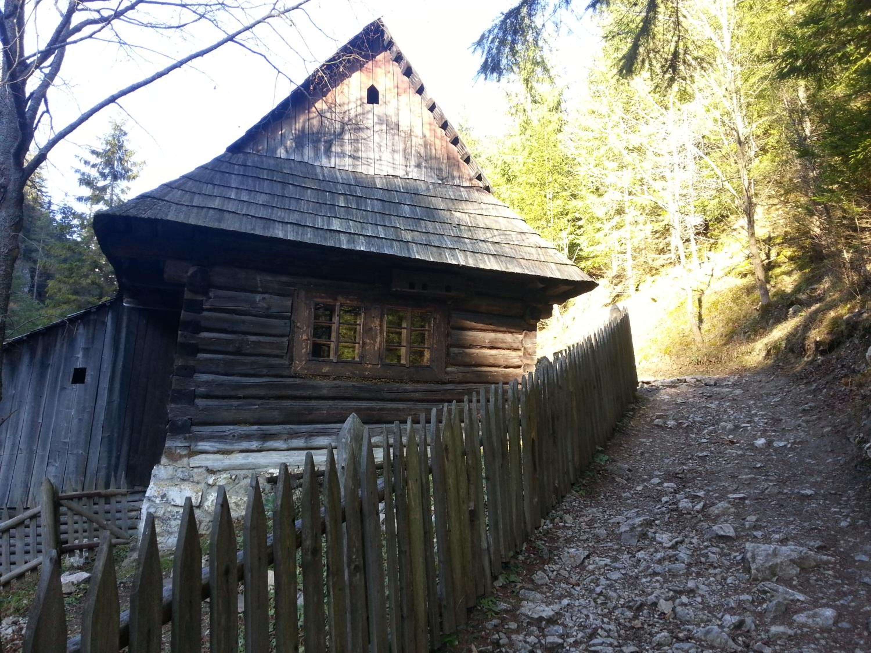 Photo 40