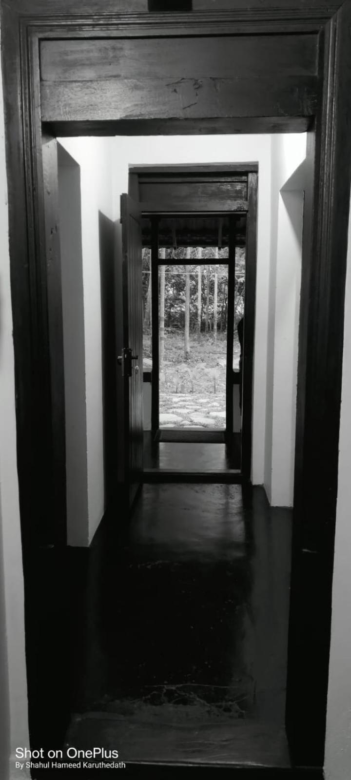 Kadavstay