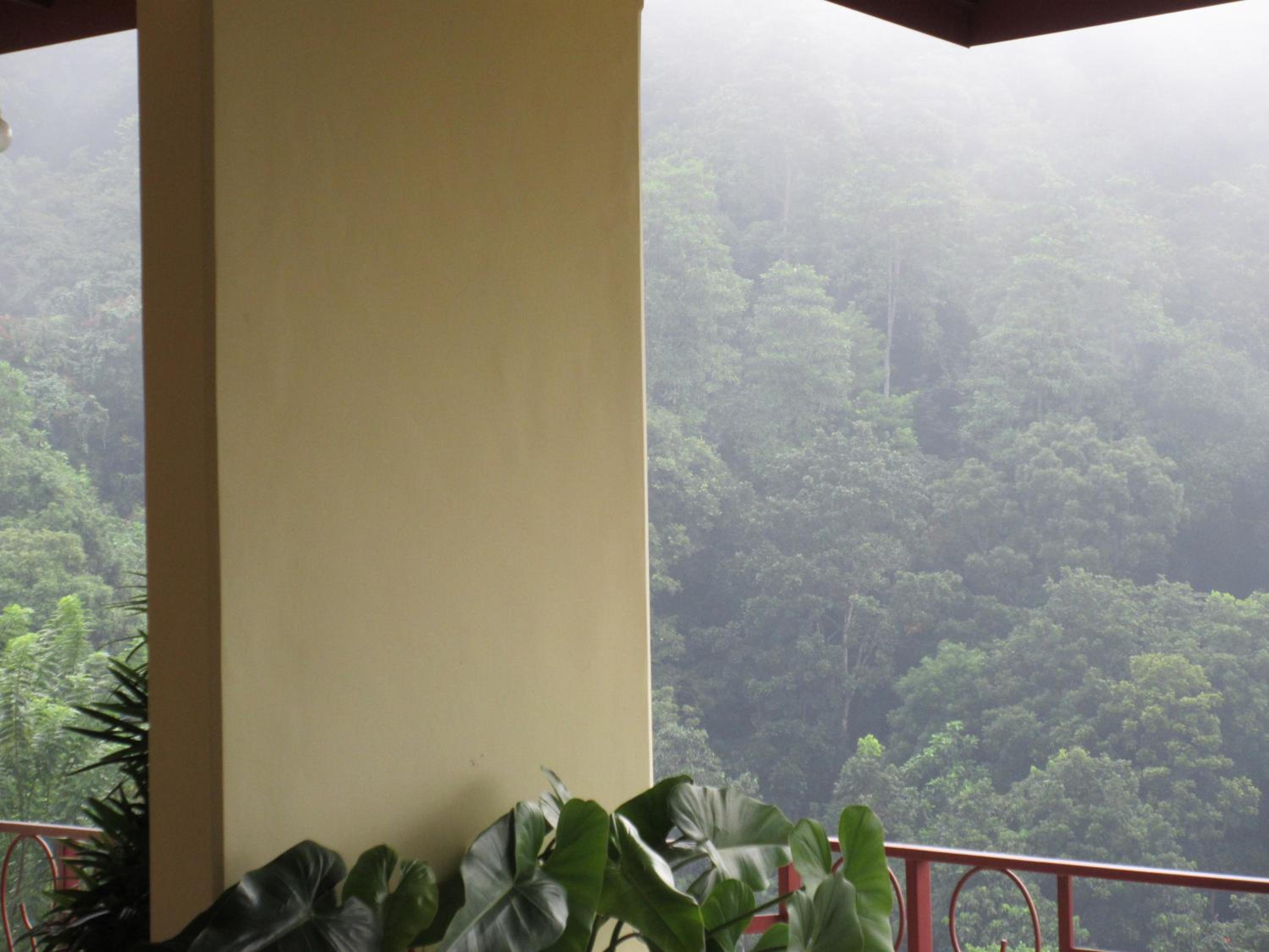 Nature Walk Resort