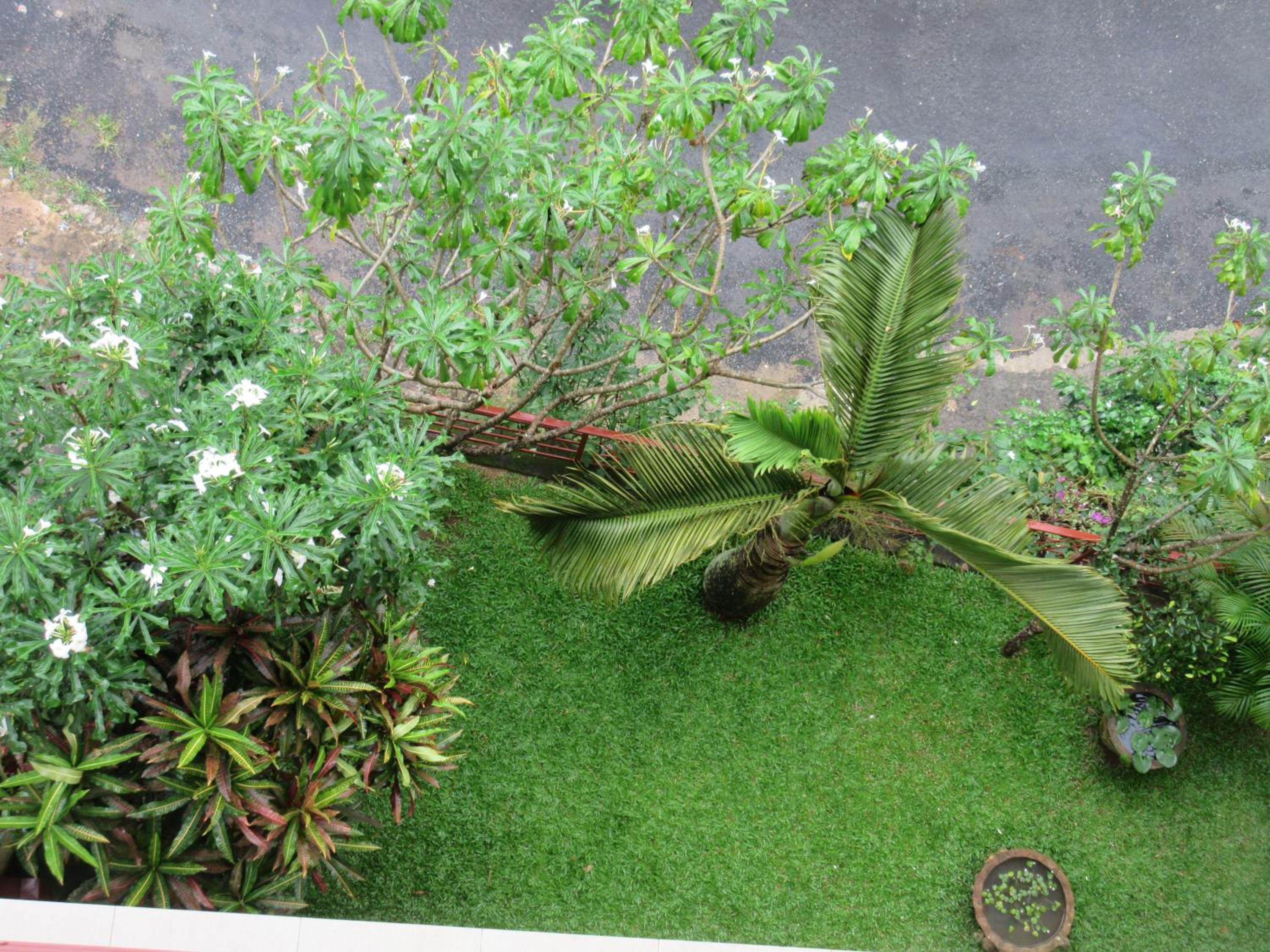 Nature Walk Resort