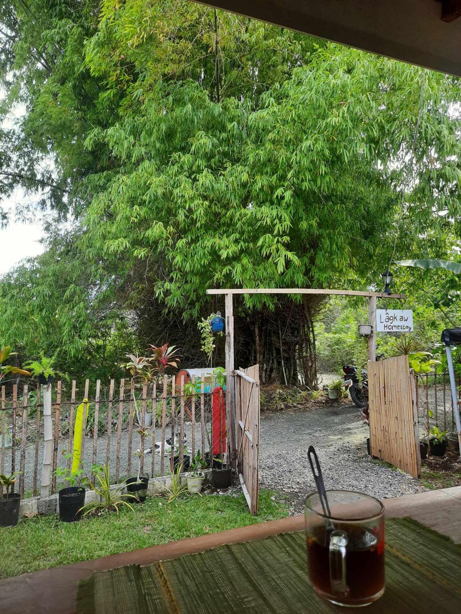 Photo 38