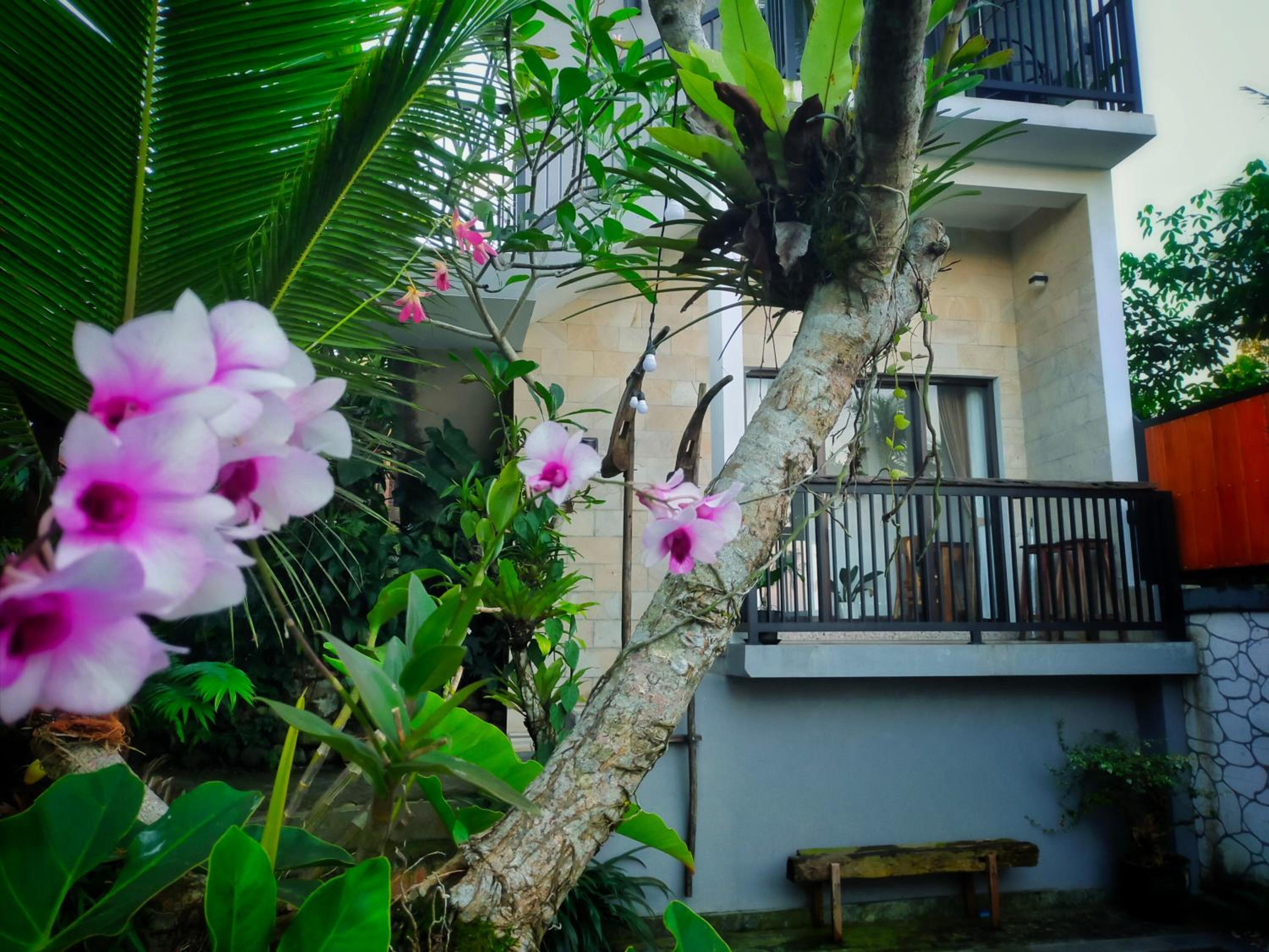 AUREIRIN Guesthouse