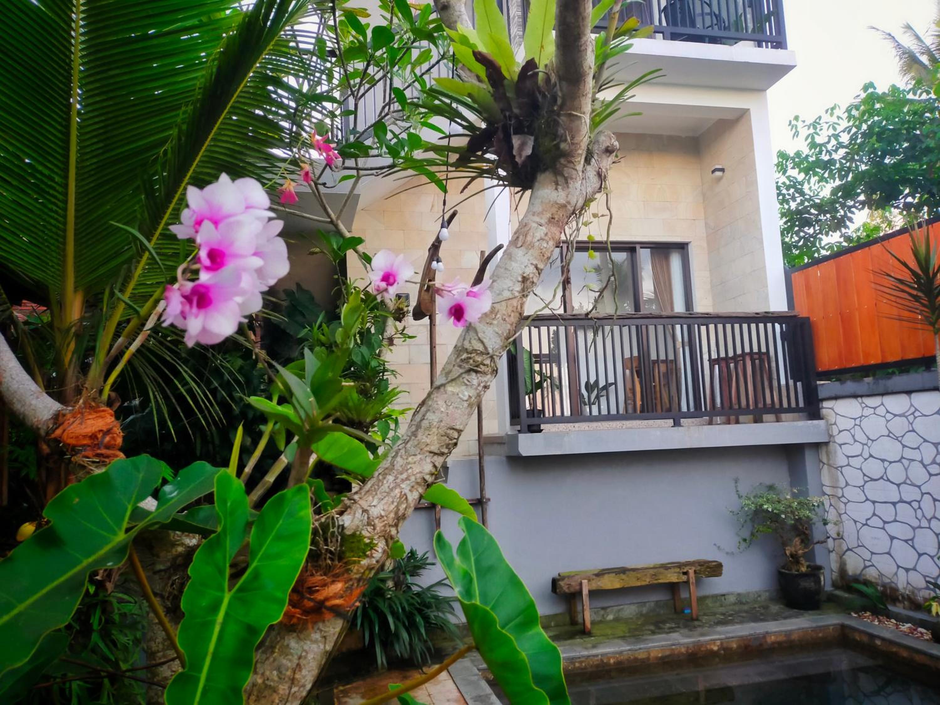 AUREIRIN Guesthouse