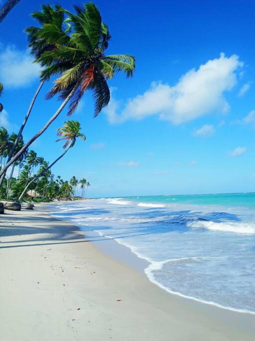 Apartamento Praia dos Carneiros