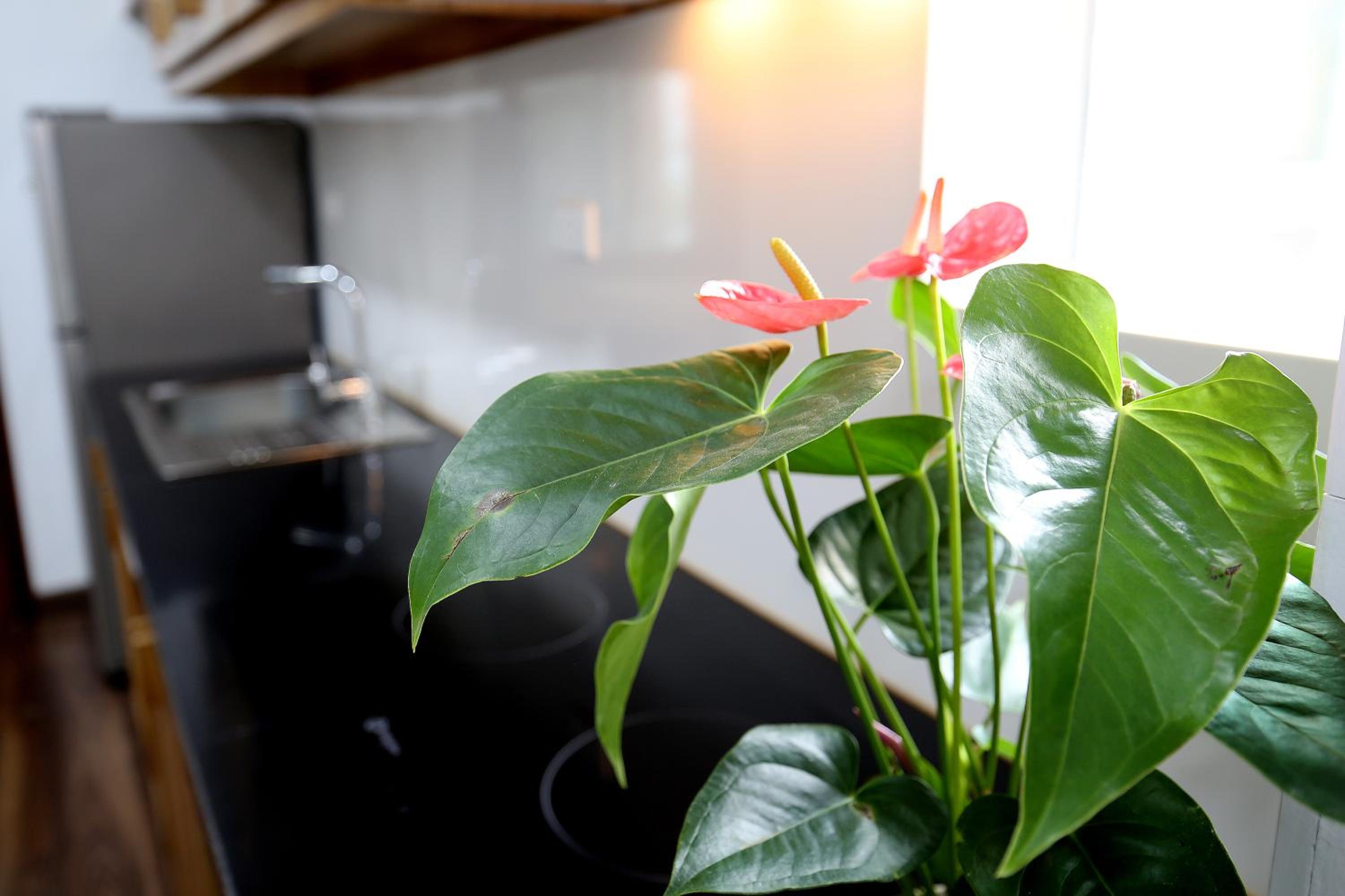 Sumitomo 3 Apartment for Japanese at 535 Kim Ma