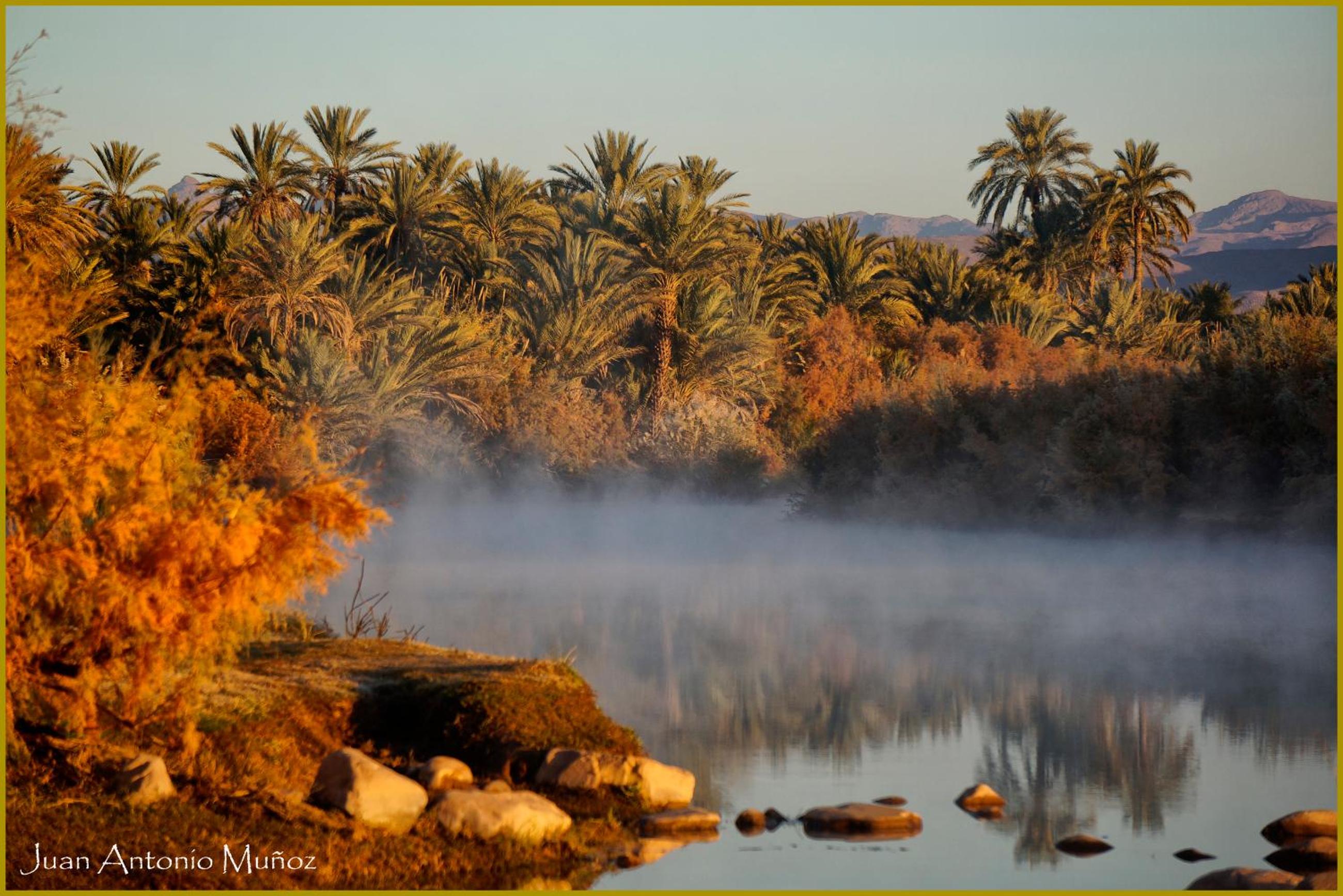 Lodge Hara Oasis