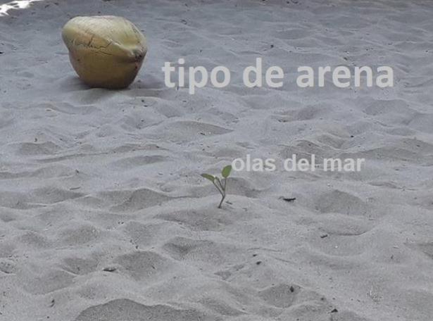 Cabaña Olas Del Mar