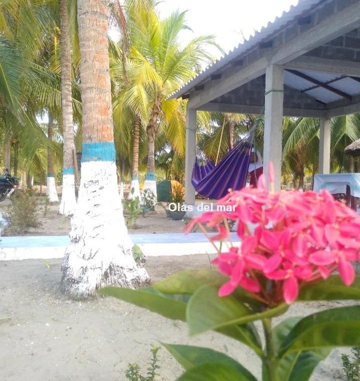 Cabaña Olas Del Mar