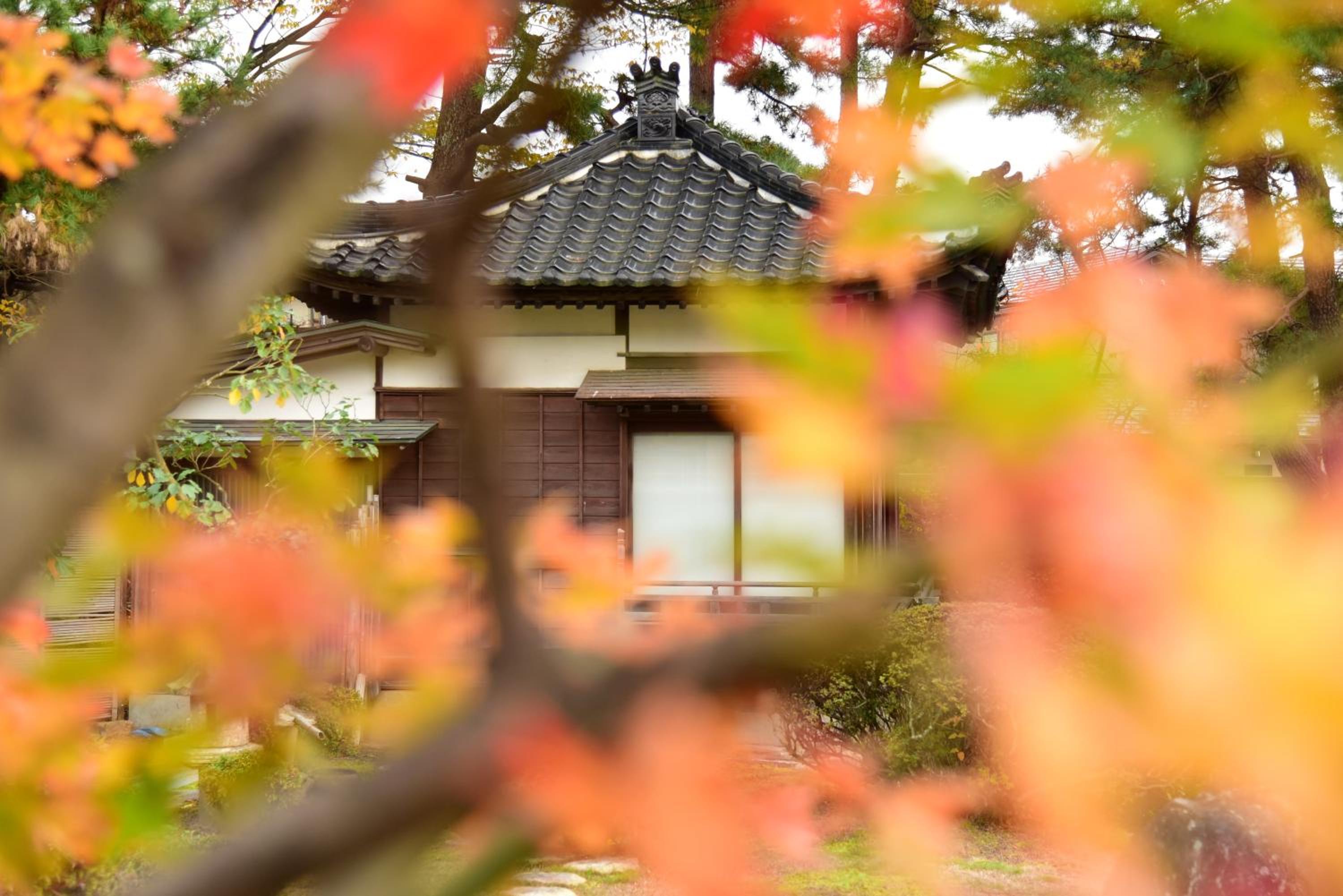 Tanakaya