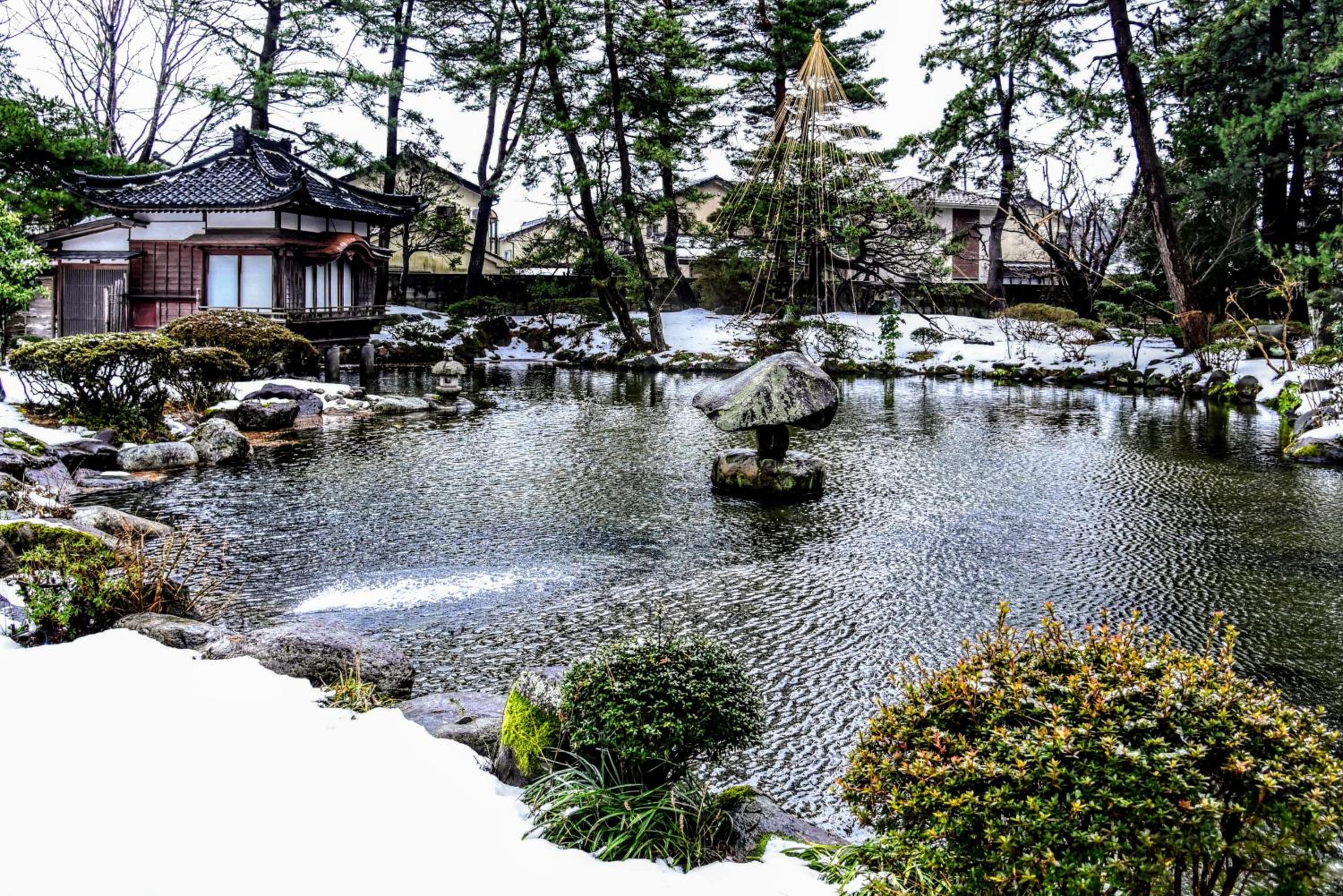 Tanakaya