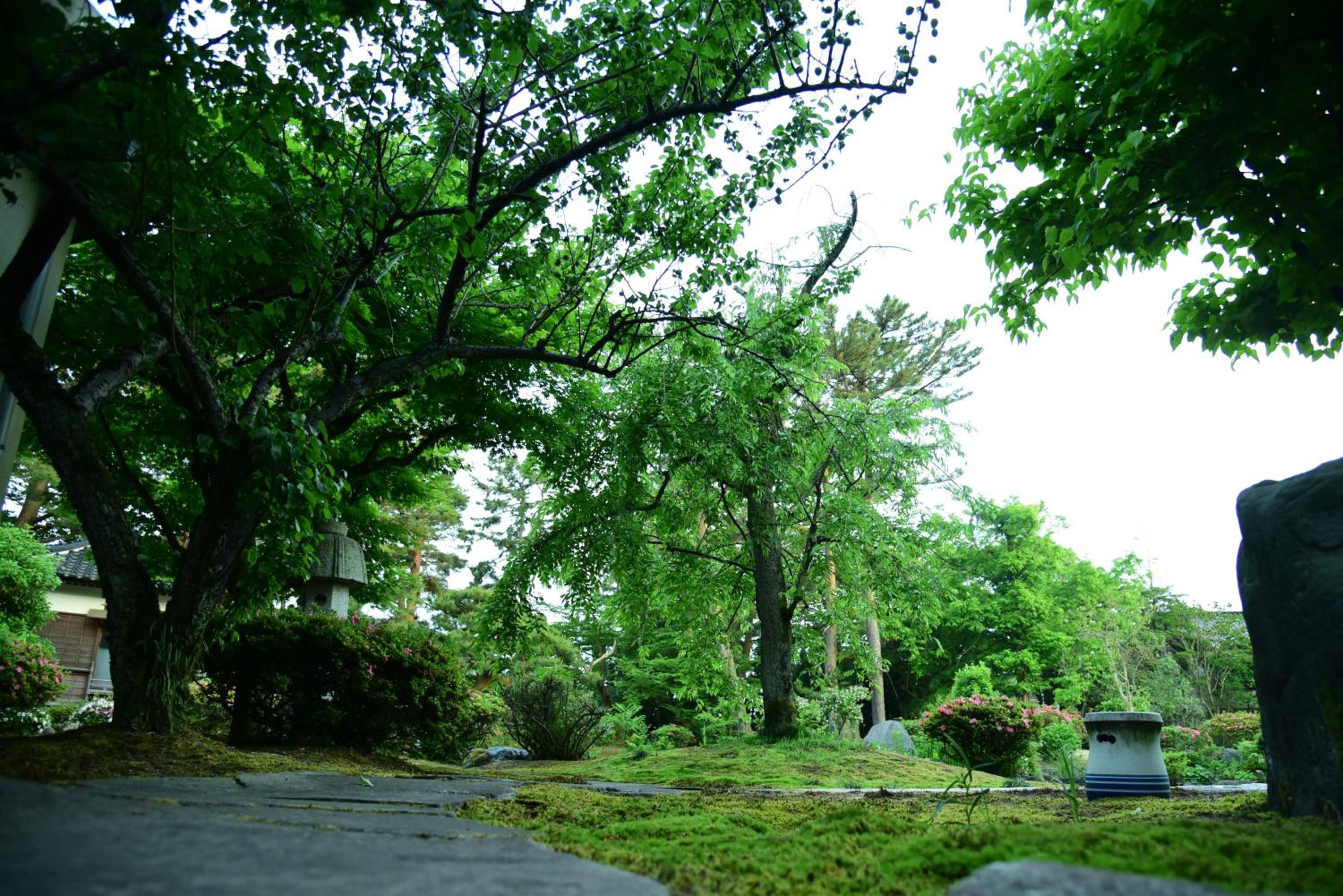 Tanakaya