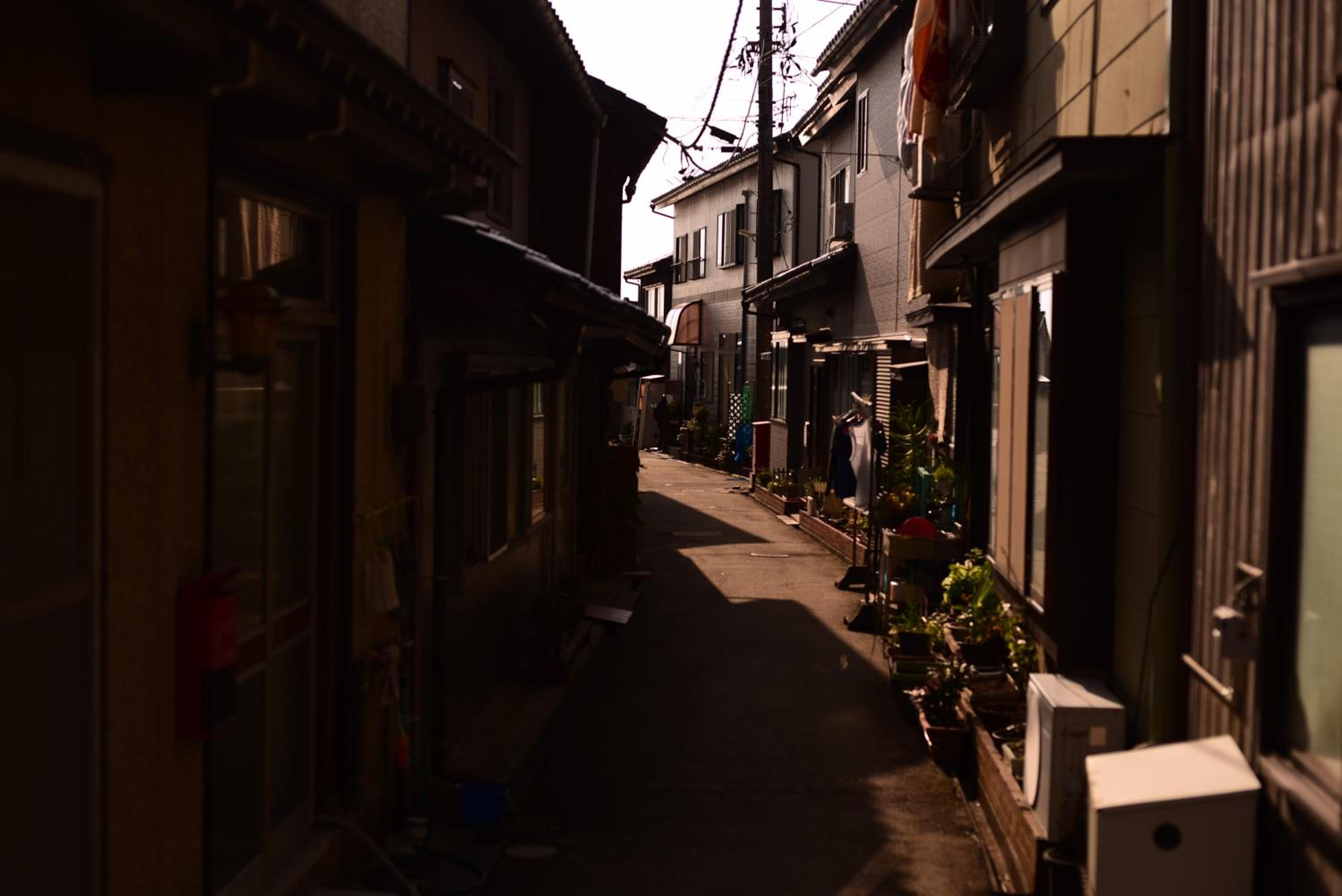 Tanakaya