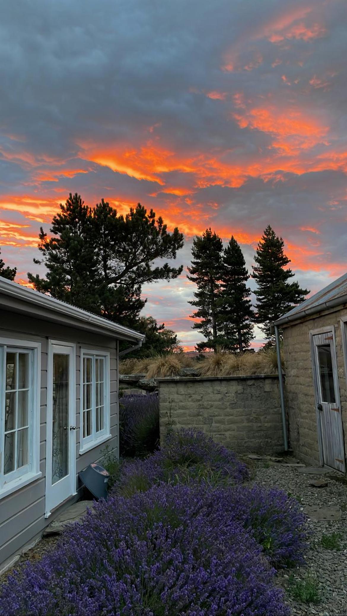 Eden Cottage, Wedderburn view 4