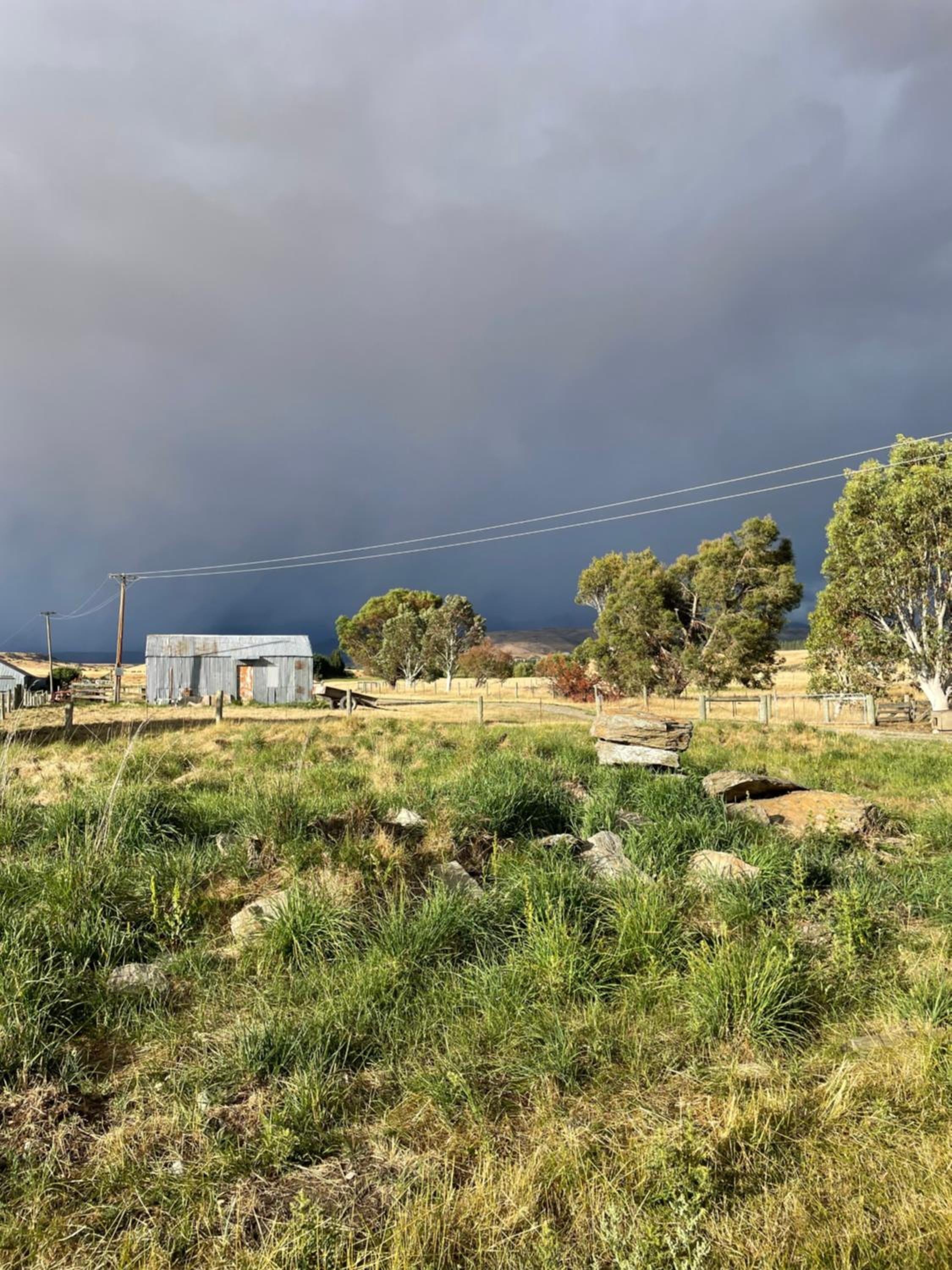 Eden Cottage, Wedderburn view 5