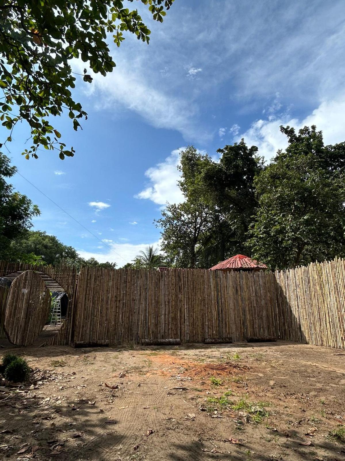 Bambuk Bio