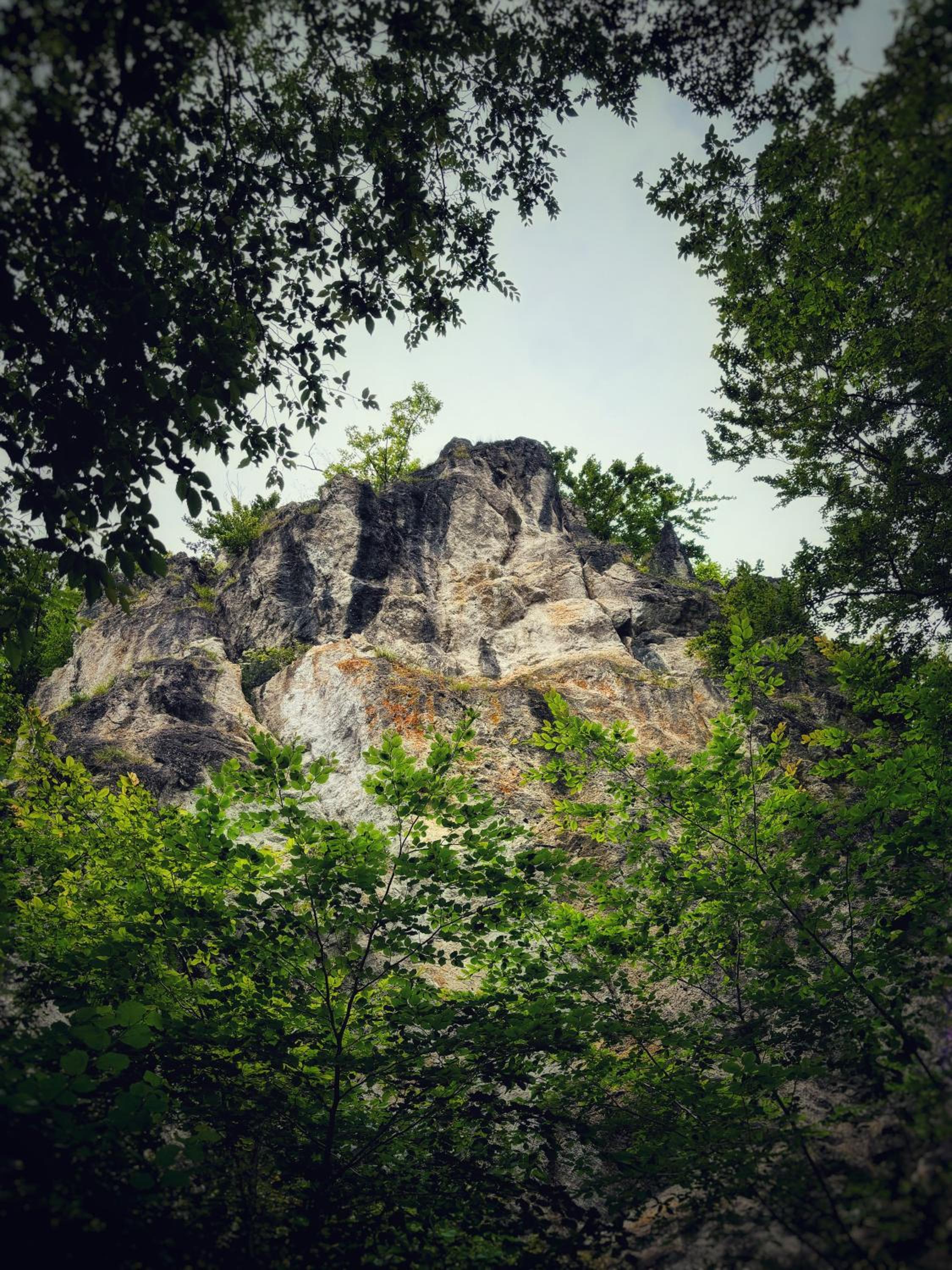Boshuisje Durbuy Nr6