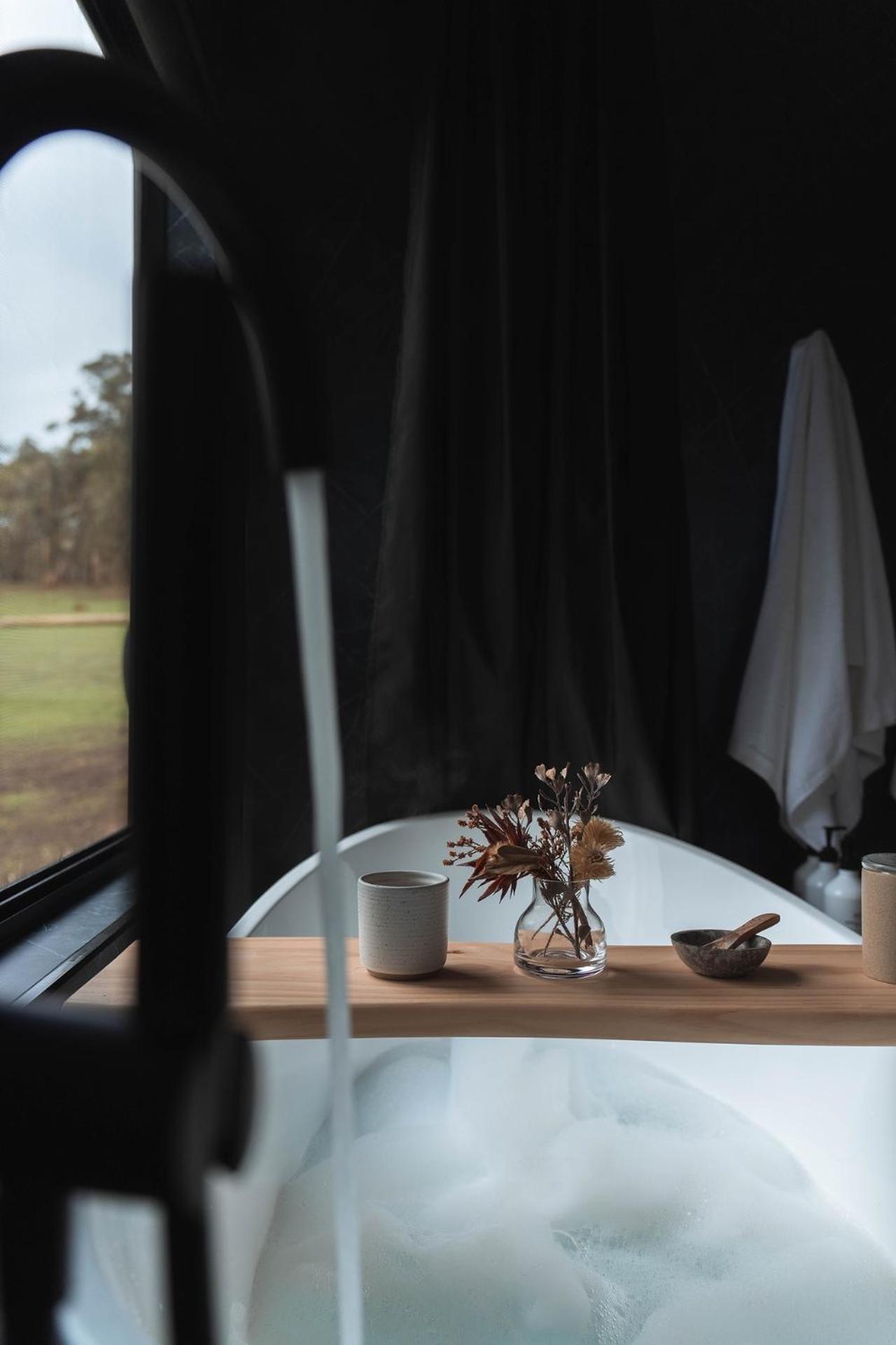 Tiny Cabin Fiona in Serpentine
