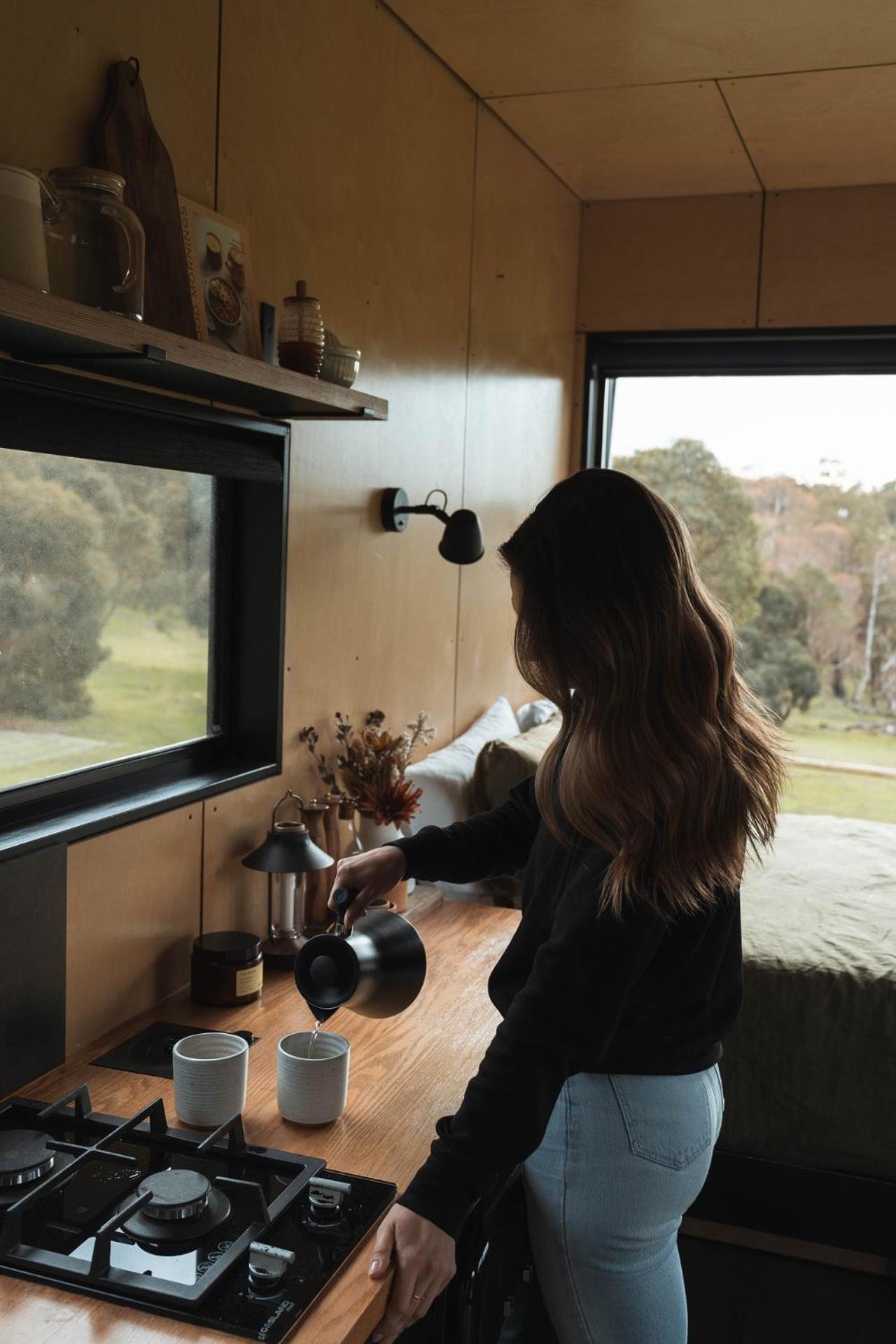 Tiny Cabin Fiona in Serpentine