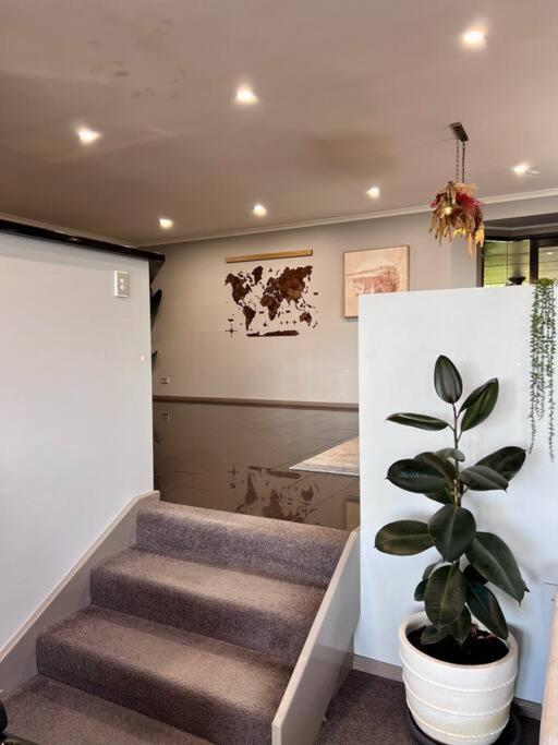 Charming modern well decor house Kingston, Hobart