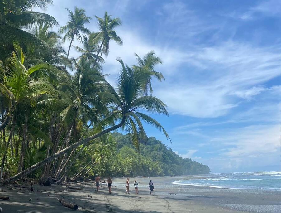 Casa Cucula - is awesome! Walk to the surf