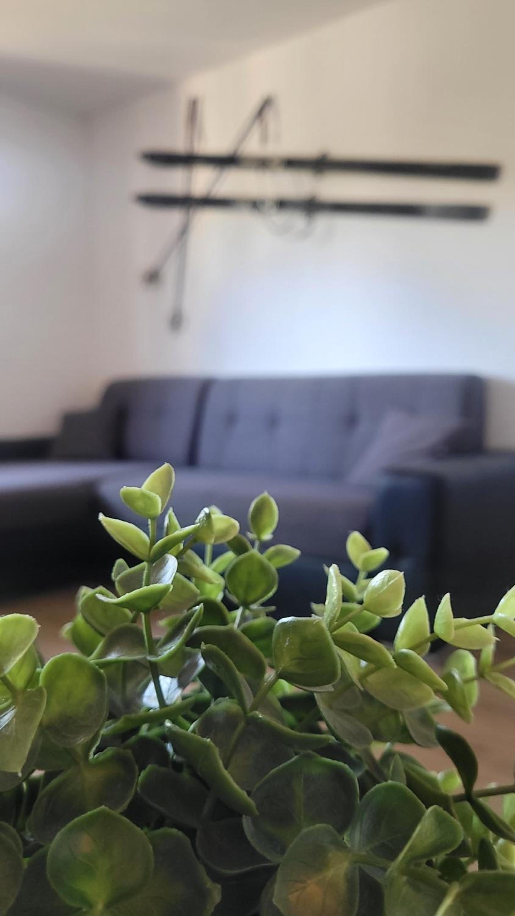 OTILIA apartment