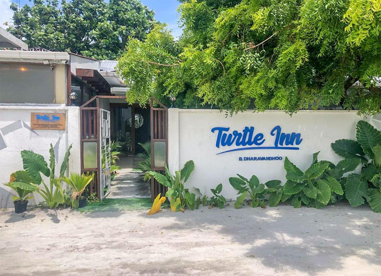 Turtle Inn Dharavandhoo photo 1