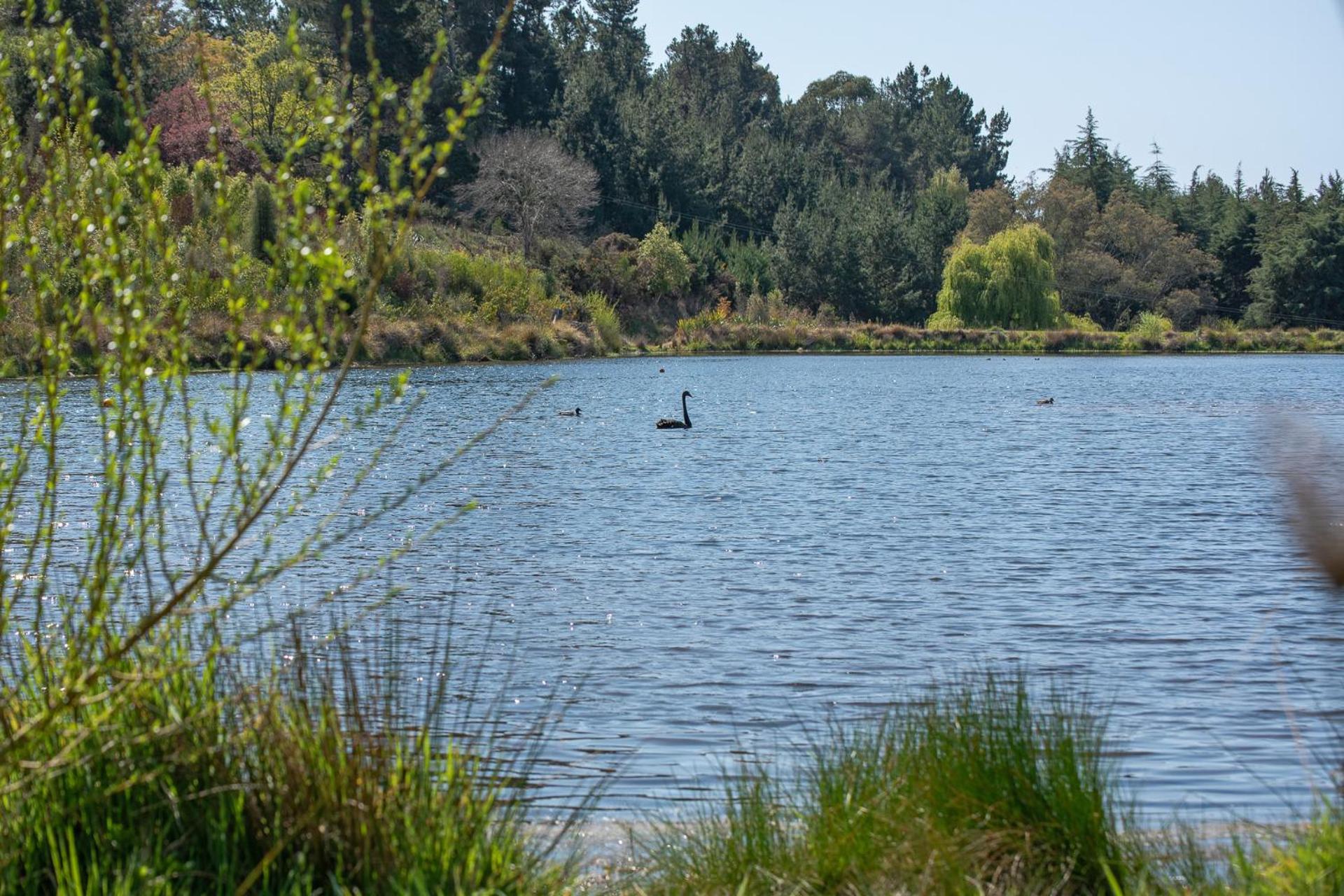 Photo 42