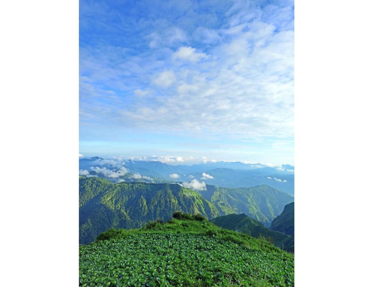 Tribal village Resort, Luhari, Chakrata