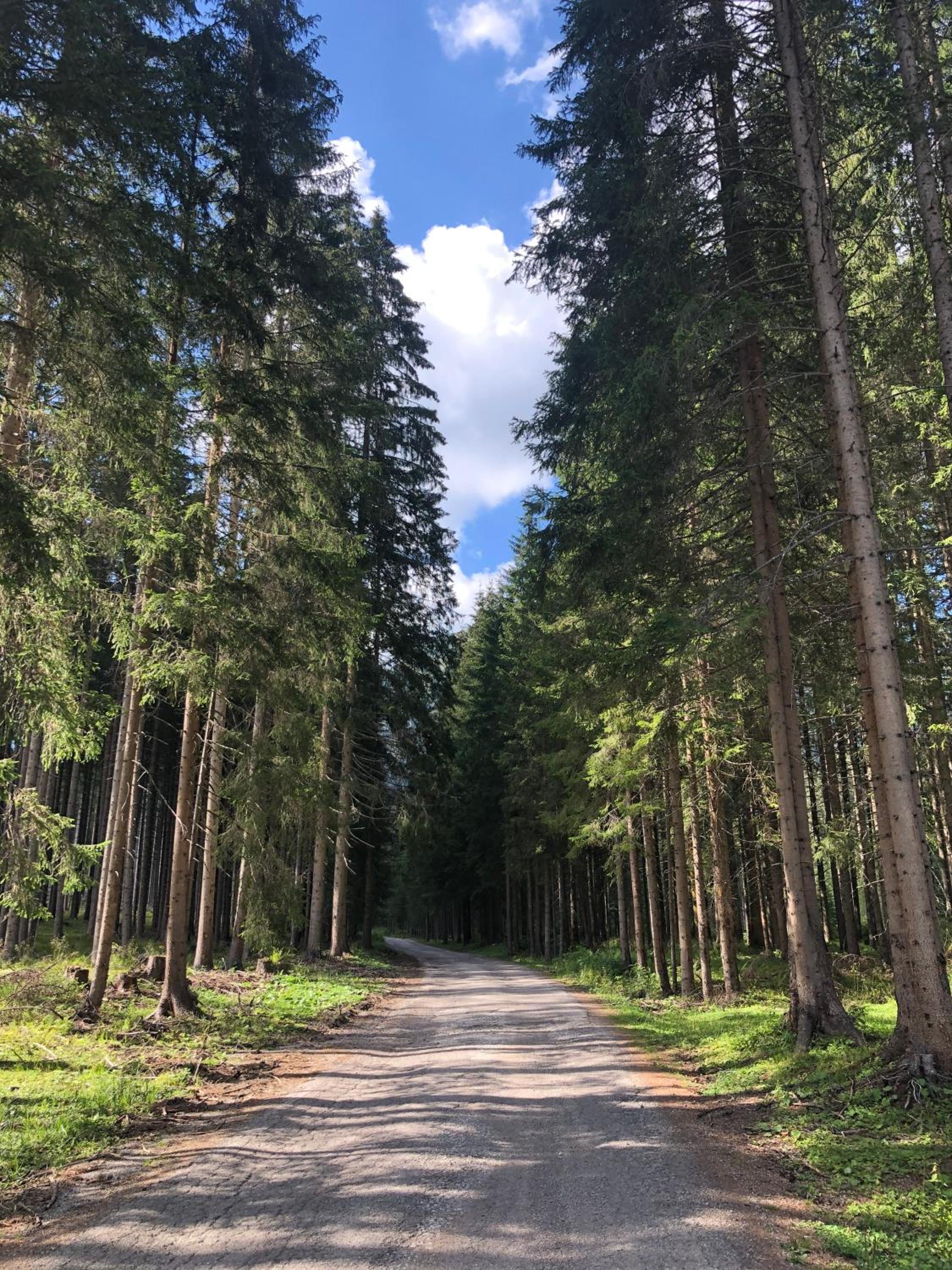 Sogno delle Dolomiti