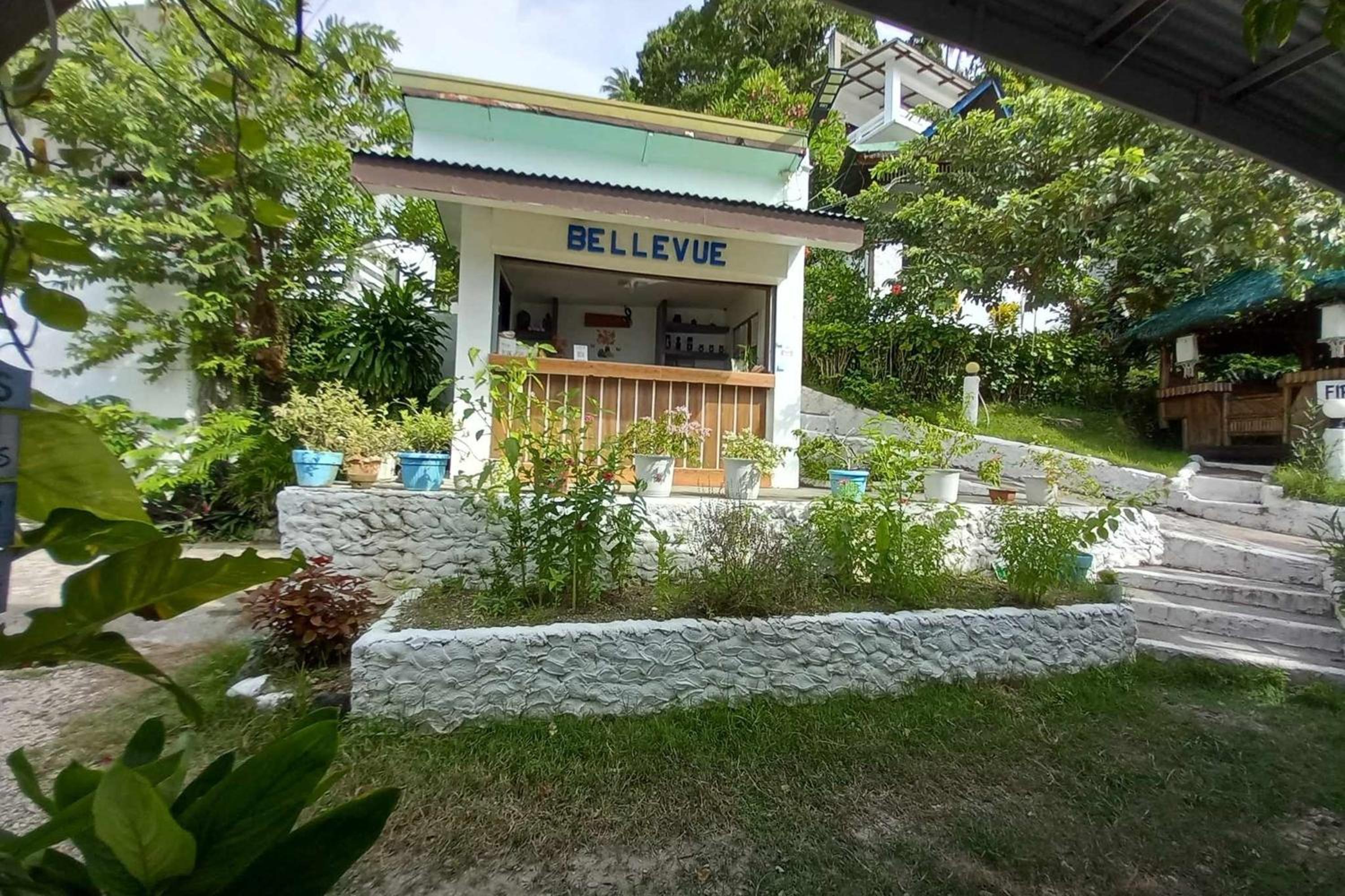 Photo 8