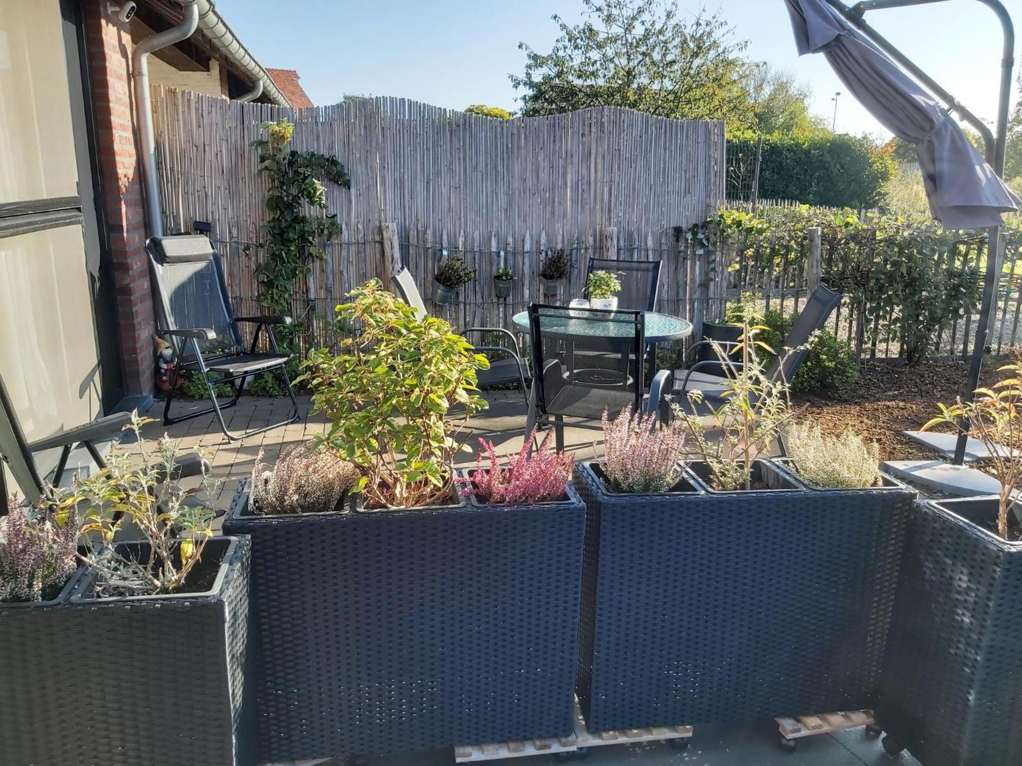Het Zonnetje -Vakantiewoning en Bed and Breakfast