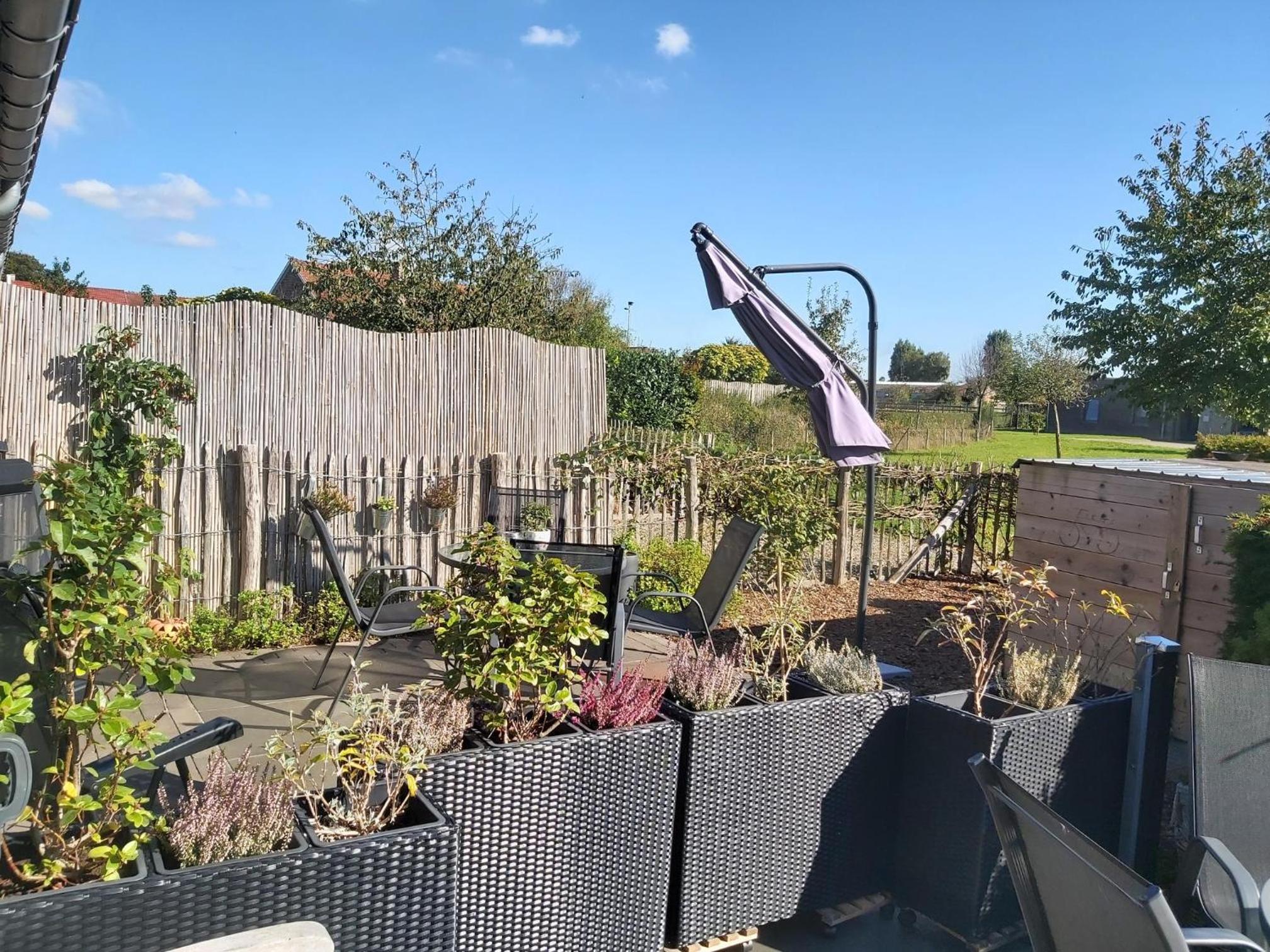 Het Zonnetje -Vakantiewoning en Bed and Breakfast
