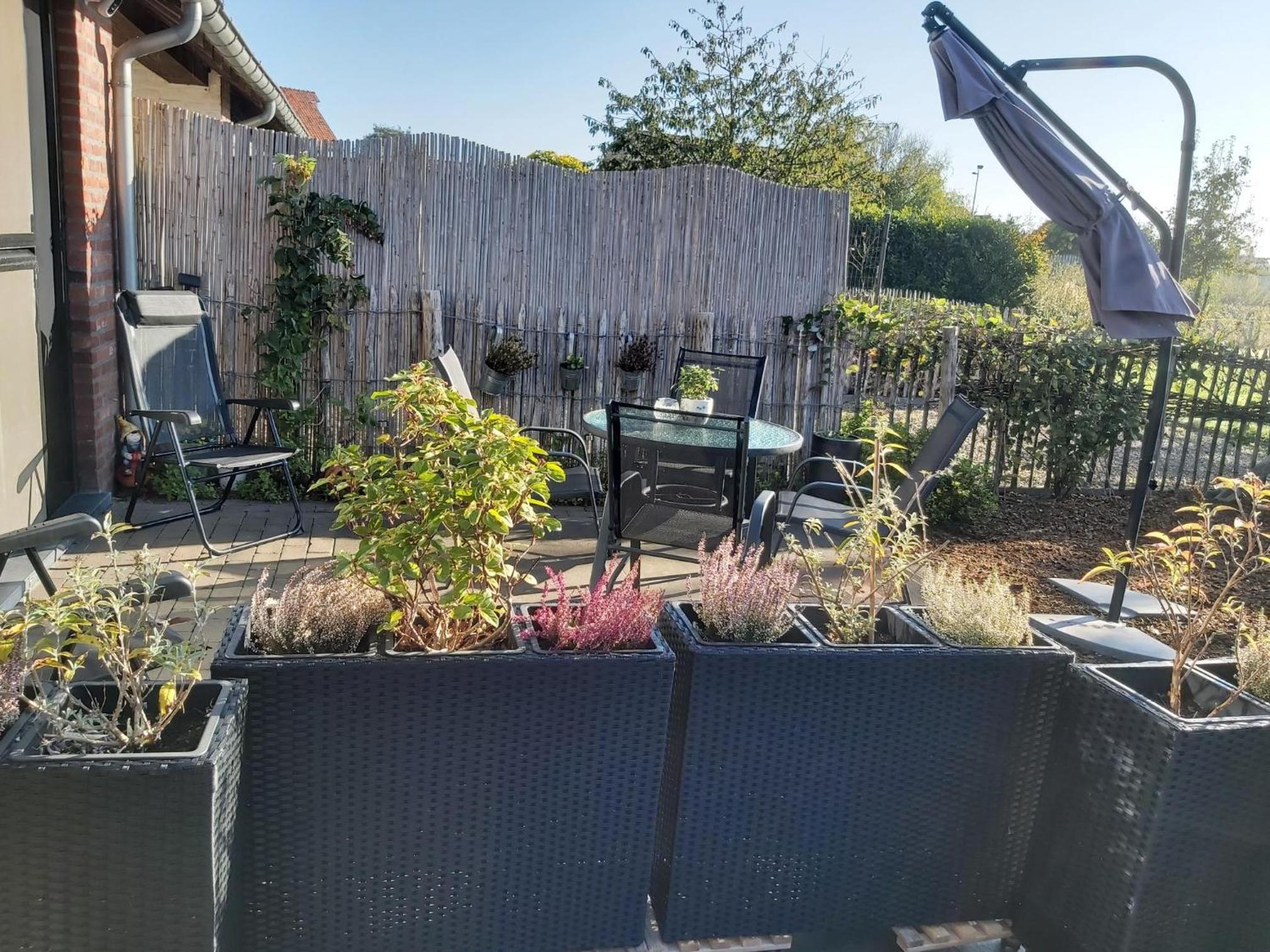 Het Zonnetje -Vakantiewoning en Bed and Breakfast