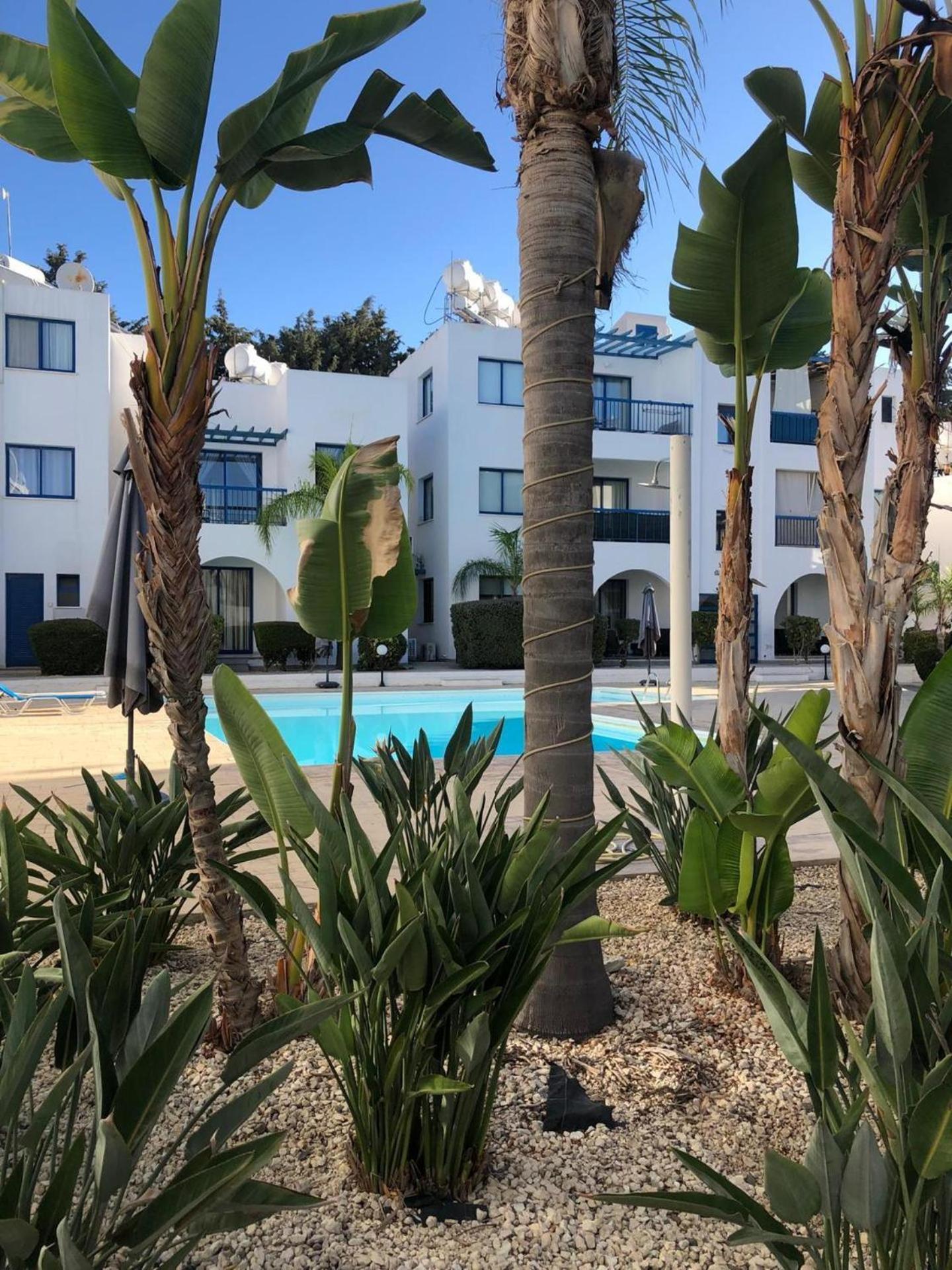 Paphos Vacations - Paphos Holiday Apartments Pool view Apartment - Property Image 28