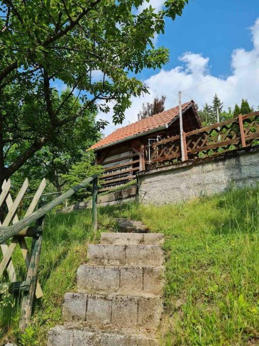 Idyllisches Haus in der Natur view 2