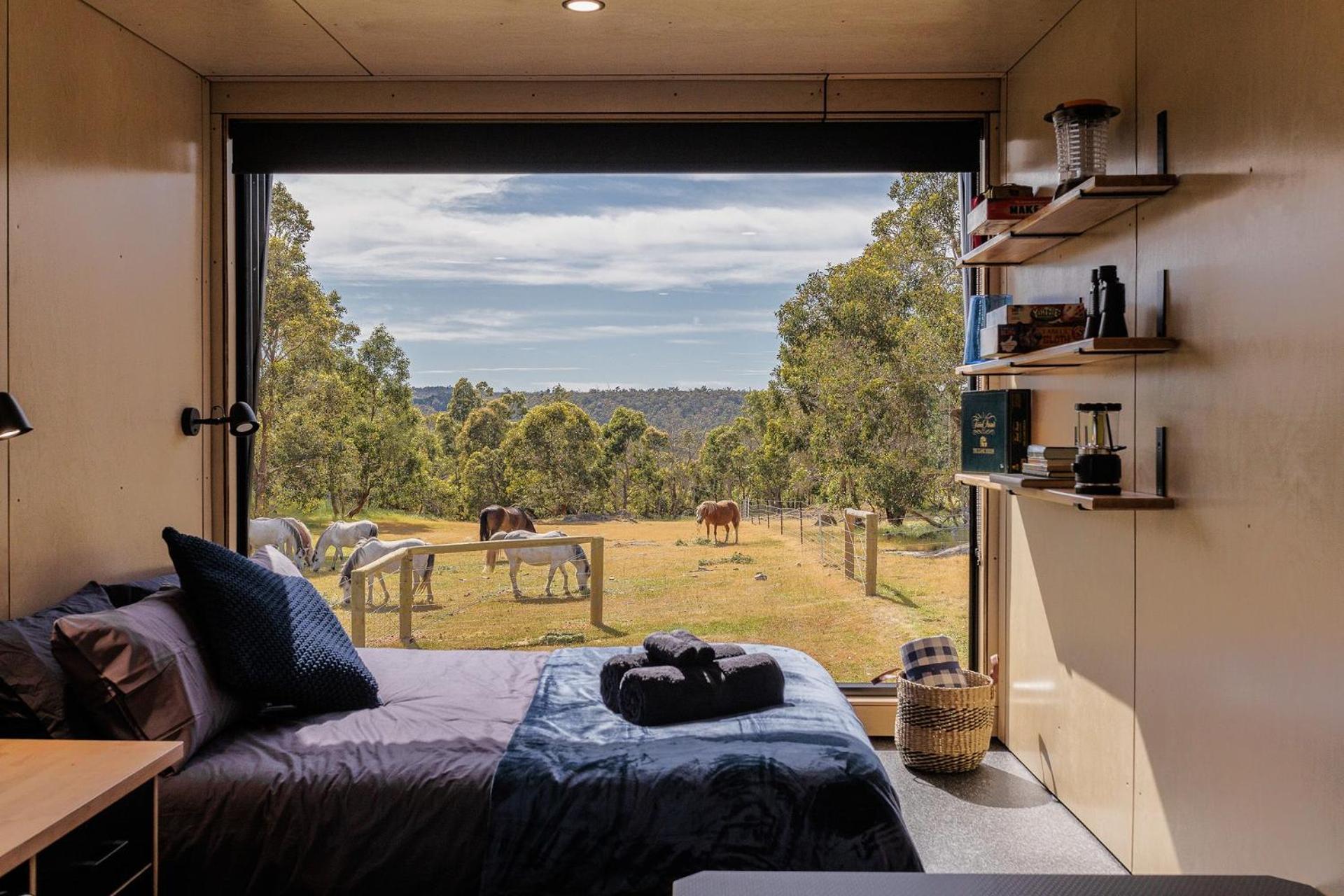 Sam the Tiny Cabin in Serpentine