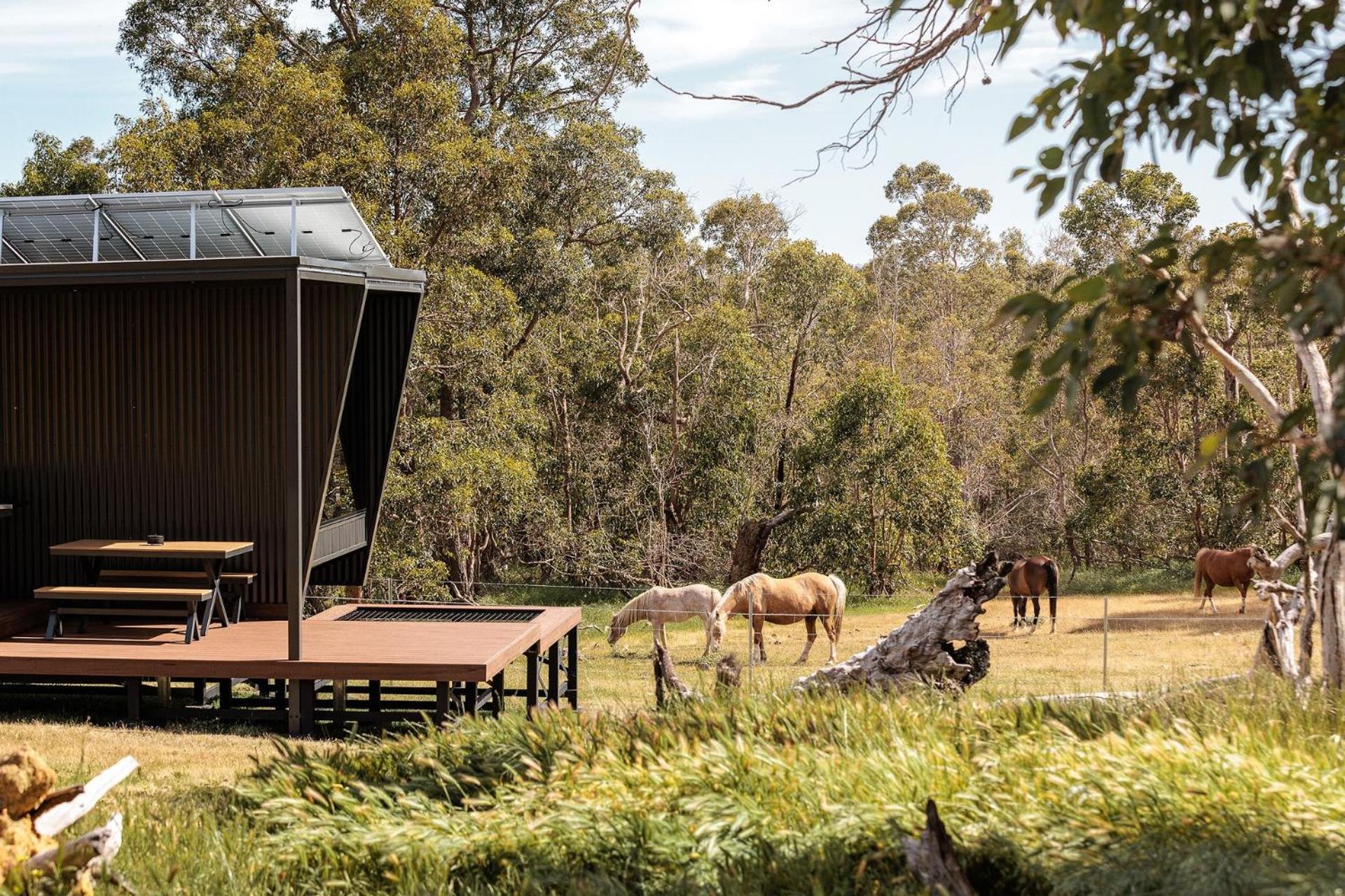 Sam the Tiny Cabin in Serpentine