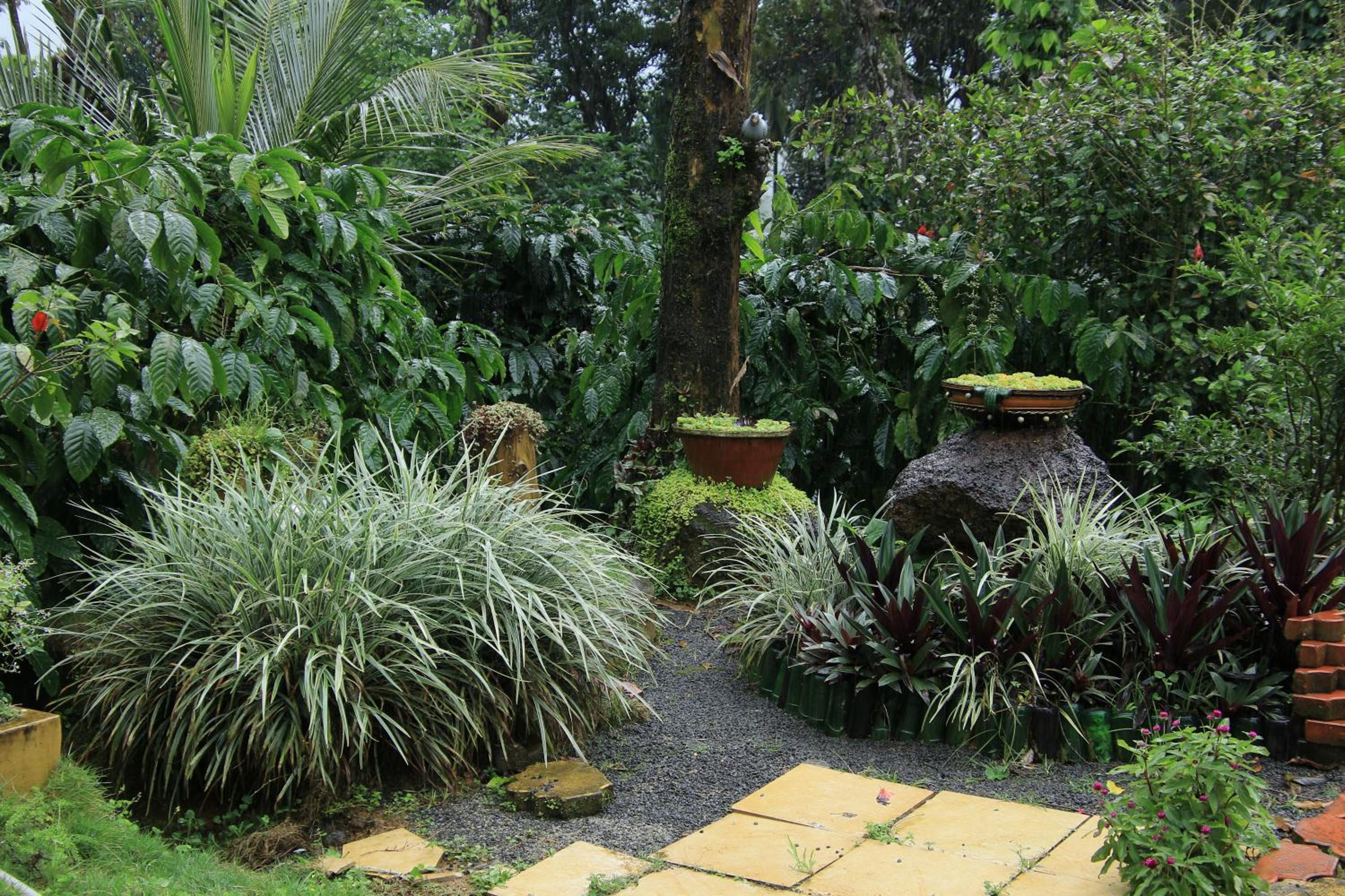 Samaruchi homes