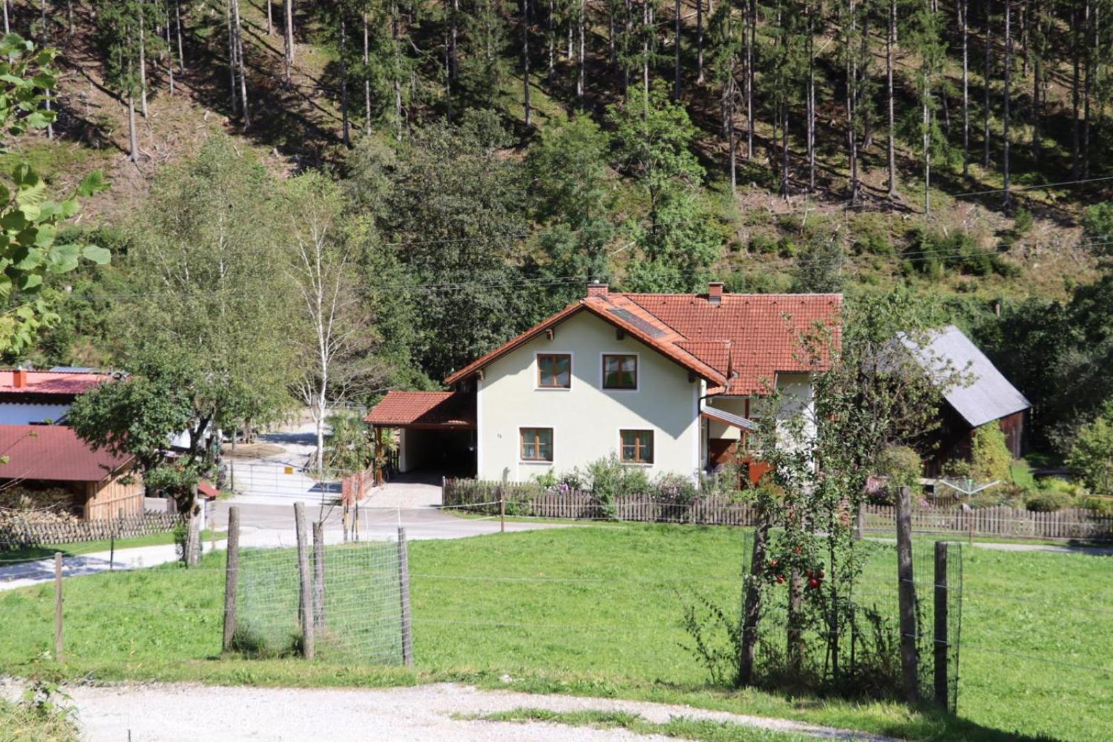 Pferdehof Reitingau